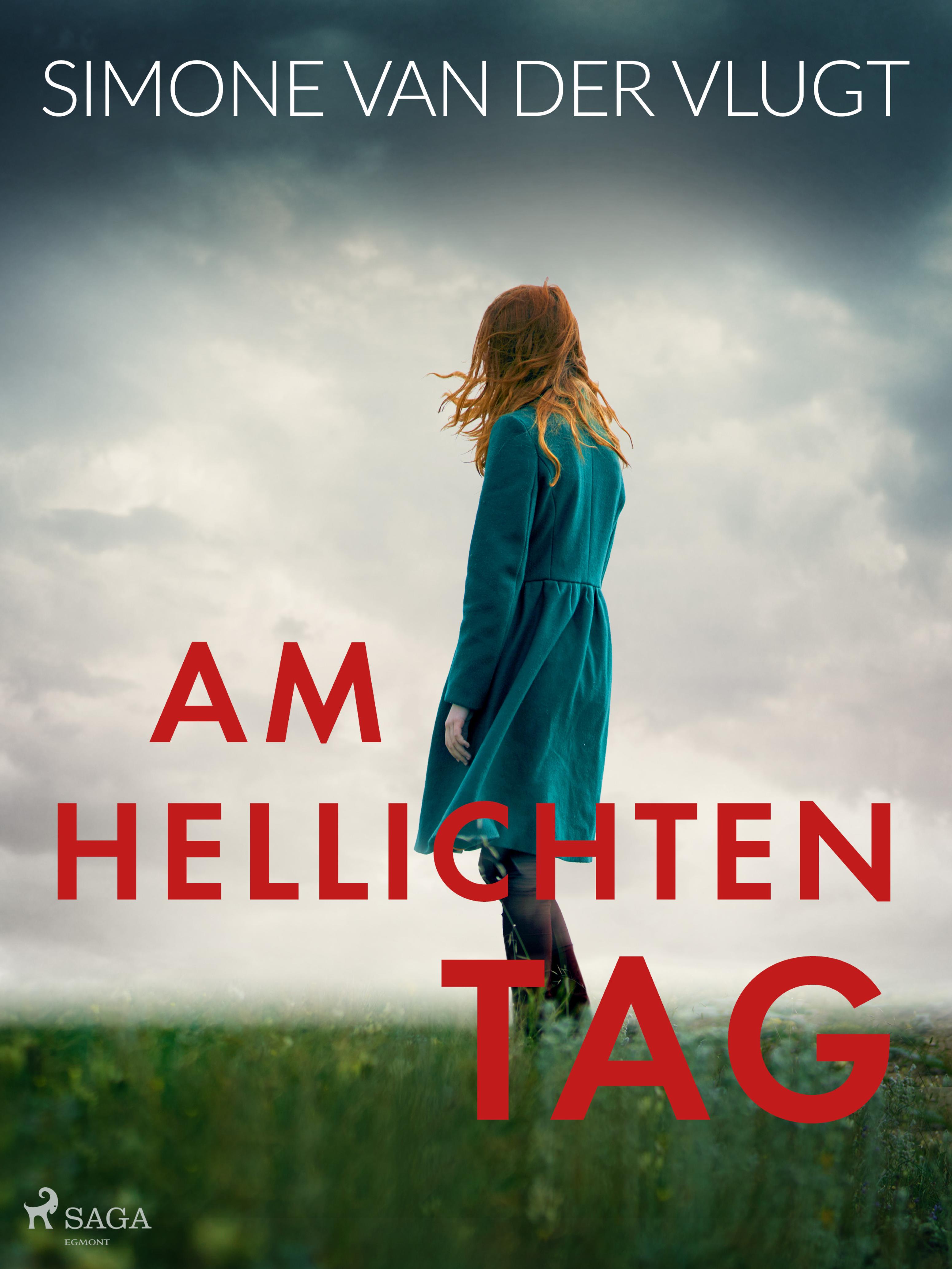 Обложка книги «Am hellichten Tag»