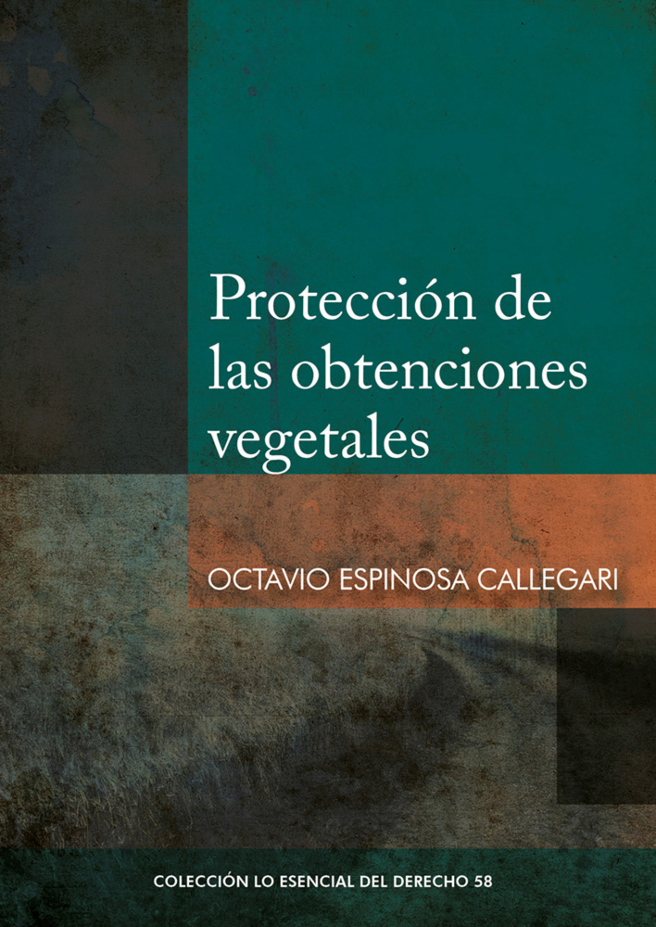Обложка книги «Protección de las obtenciones vegetales»