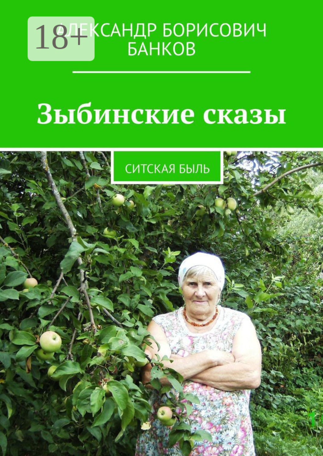 Обложка книги «Зыбинские сказы. Ситская быль»