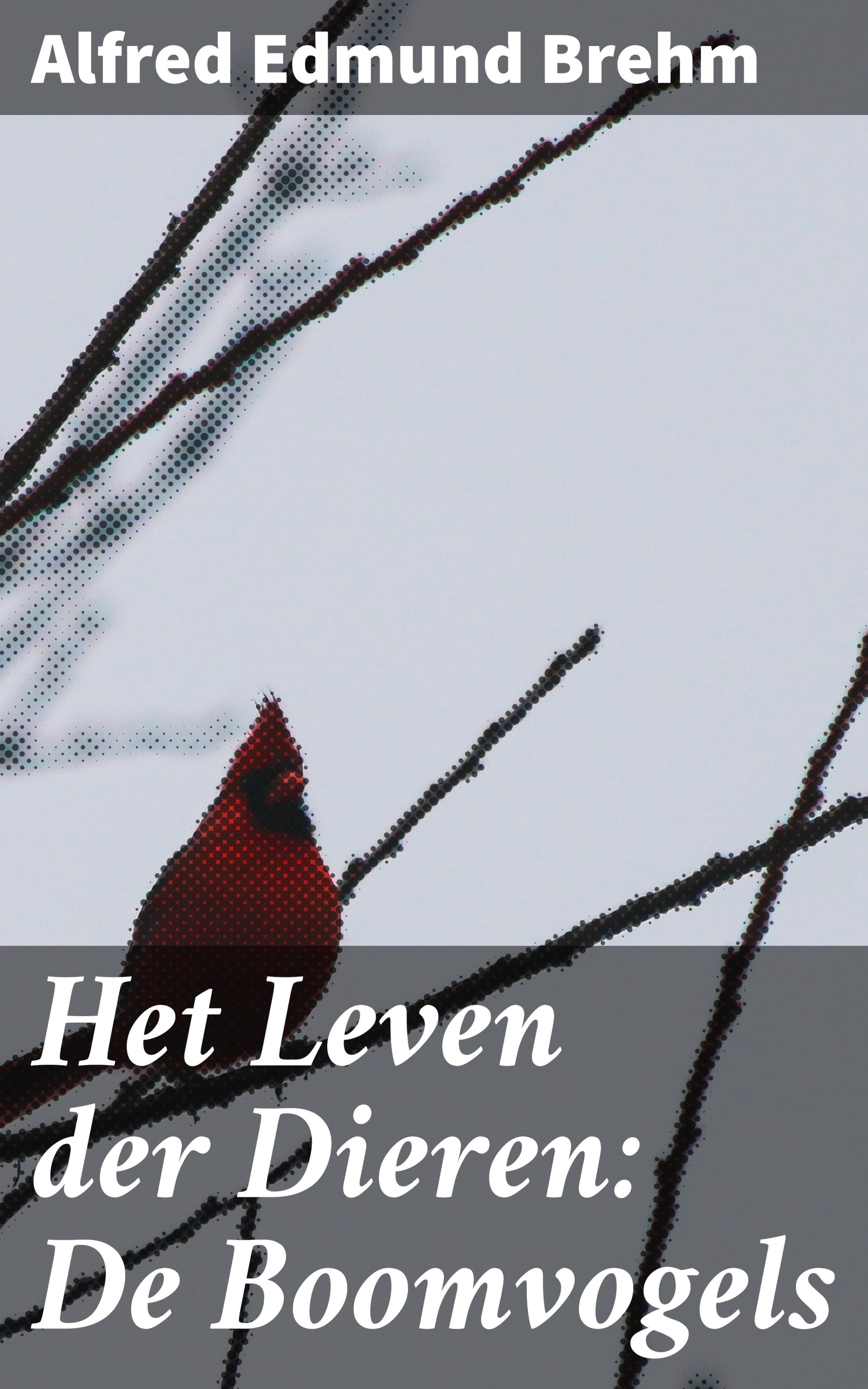Обложка книги «Het Leven der Dieren: De Boomvogels»