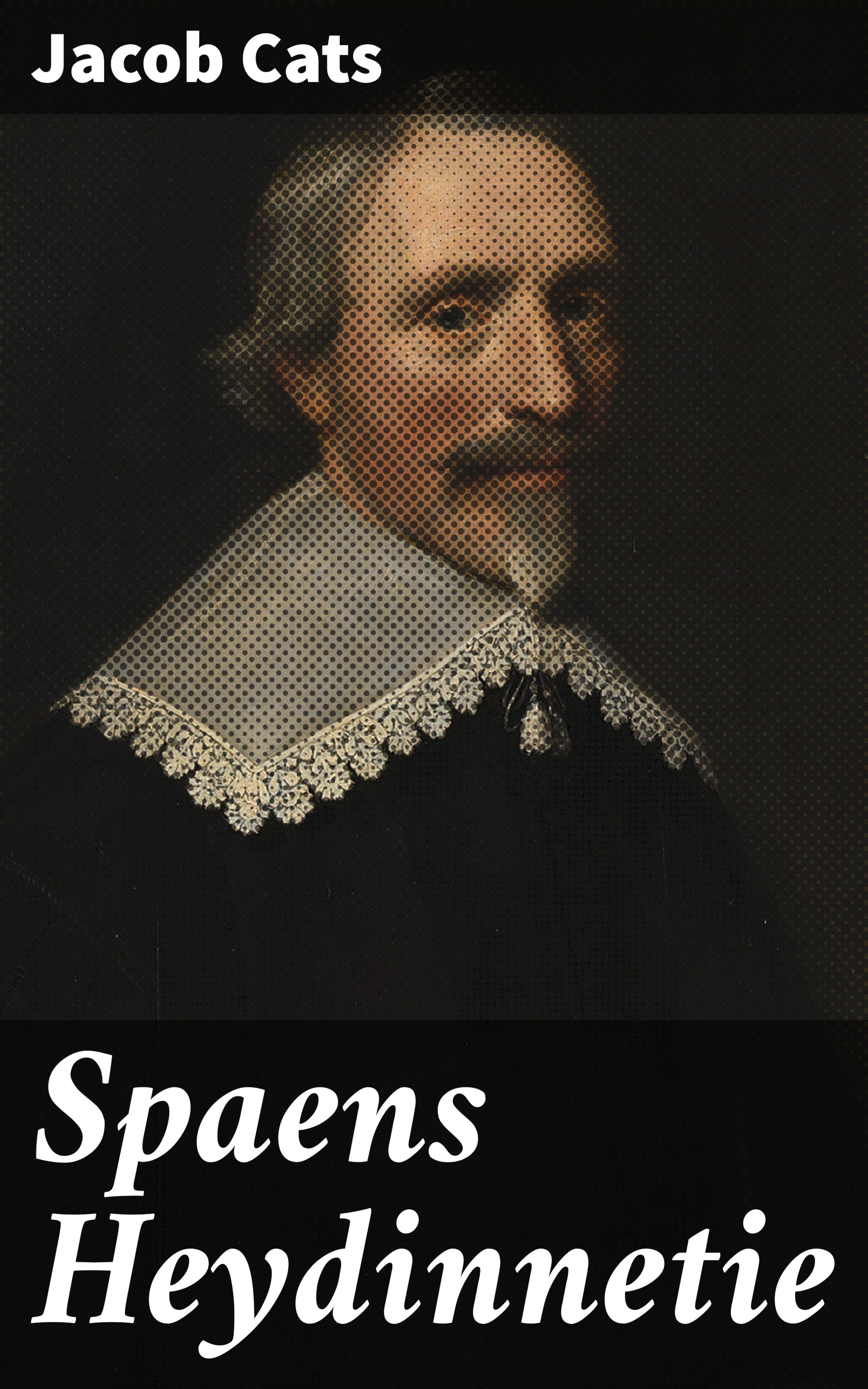 Обложка книги «Spaens Heydinnetie»