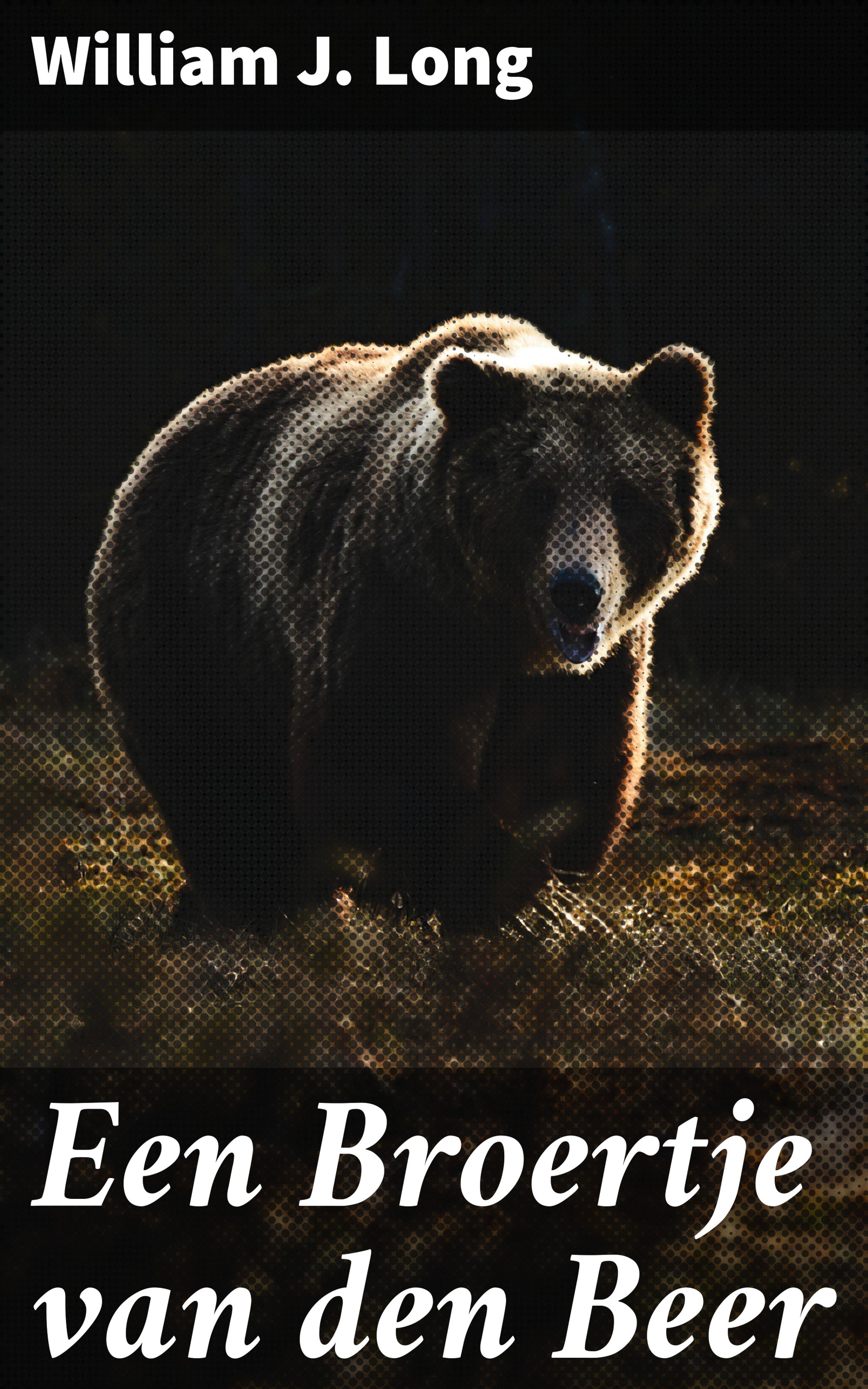 Обложка книги «Een Broertje van den Beer»