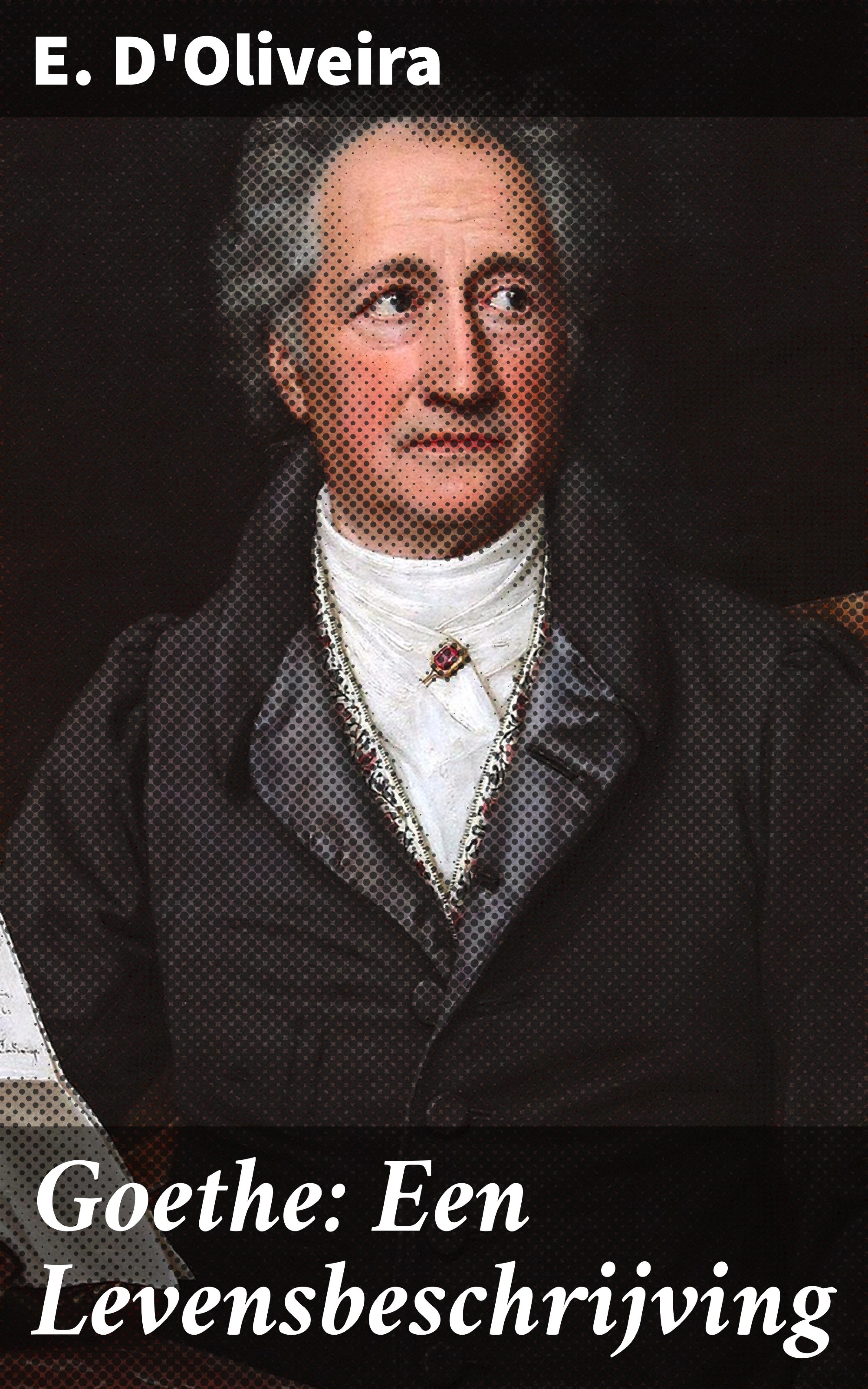Обложка книги «Goethe: Een Levensbeschrijving»