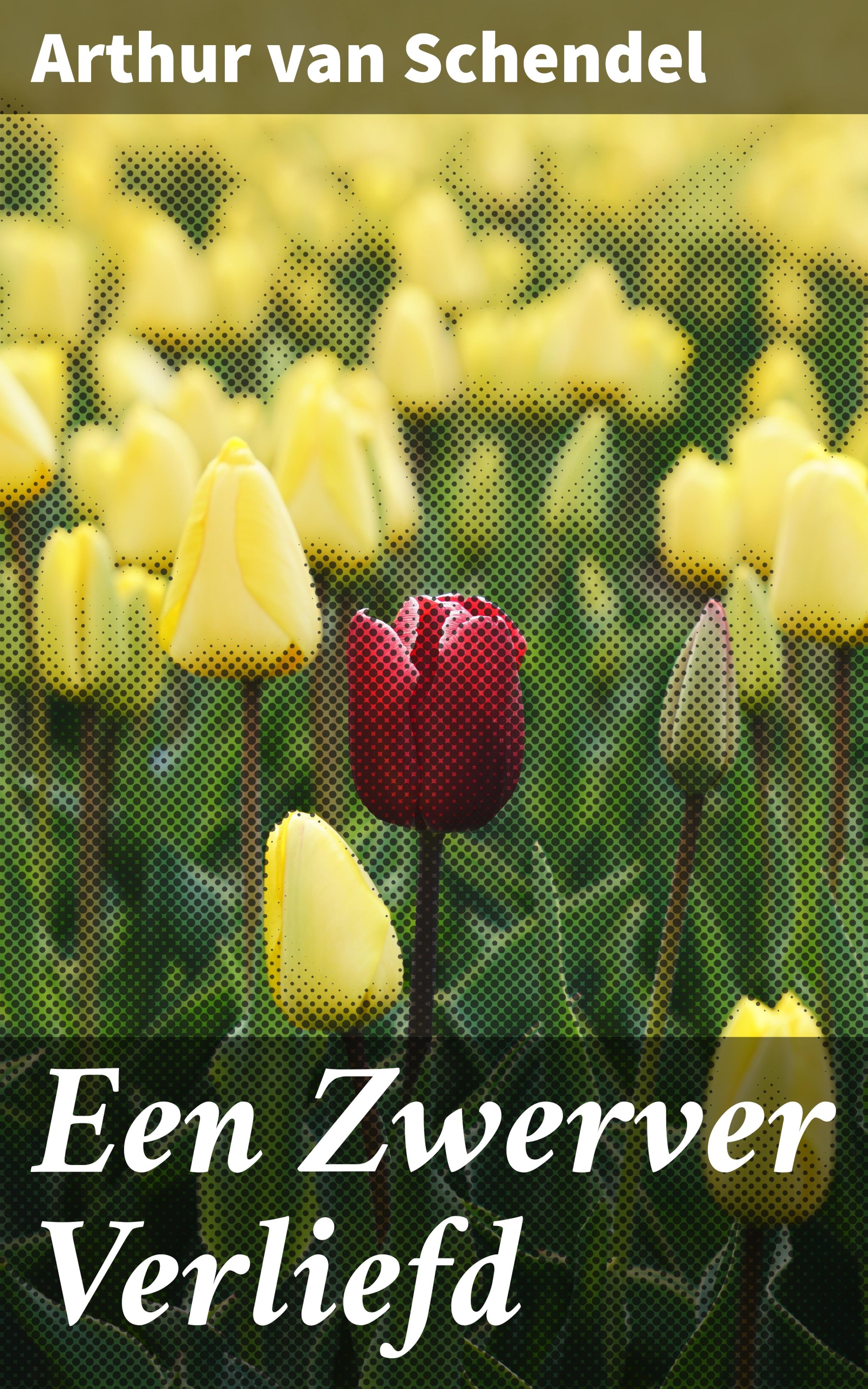 Обложка книги «Een Zwerver Verliefd»