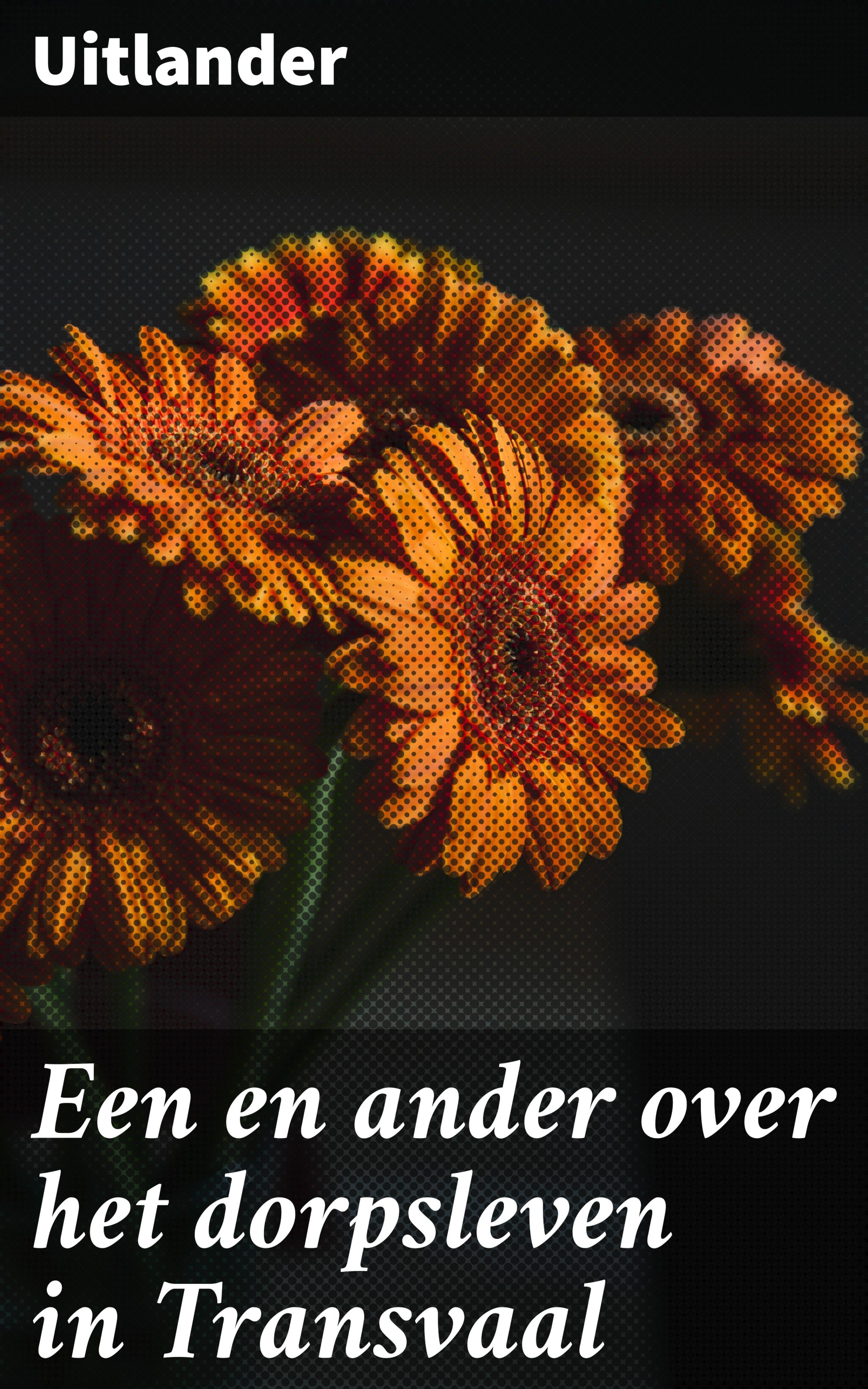 Обложка книги «Een en ander over het dorpsleven in Transvaal»