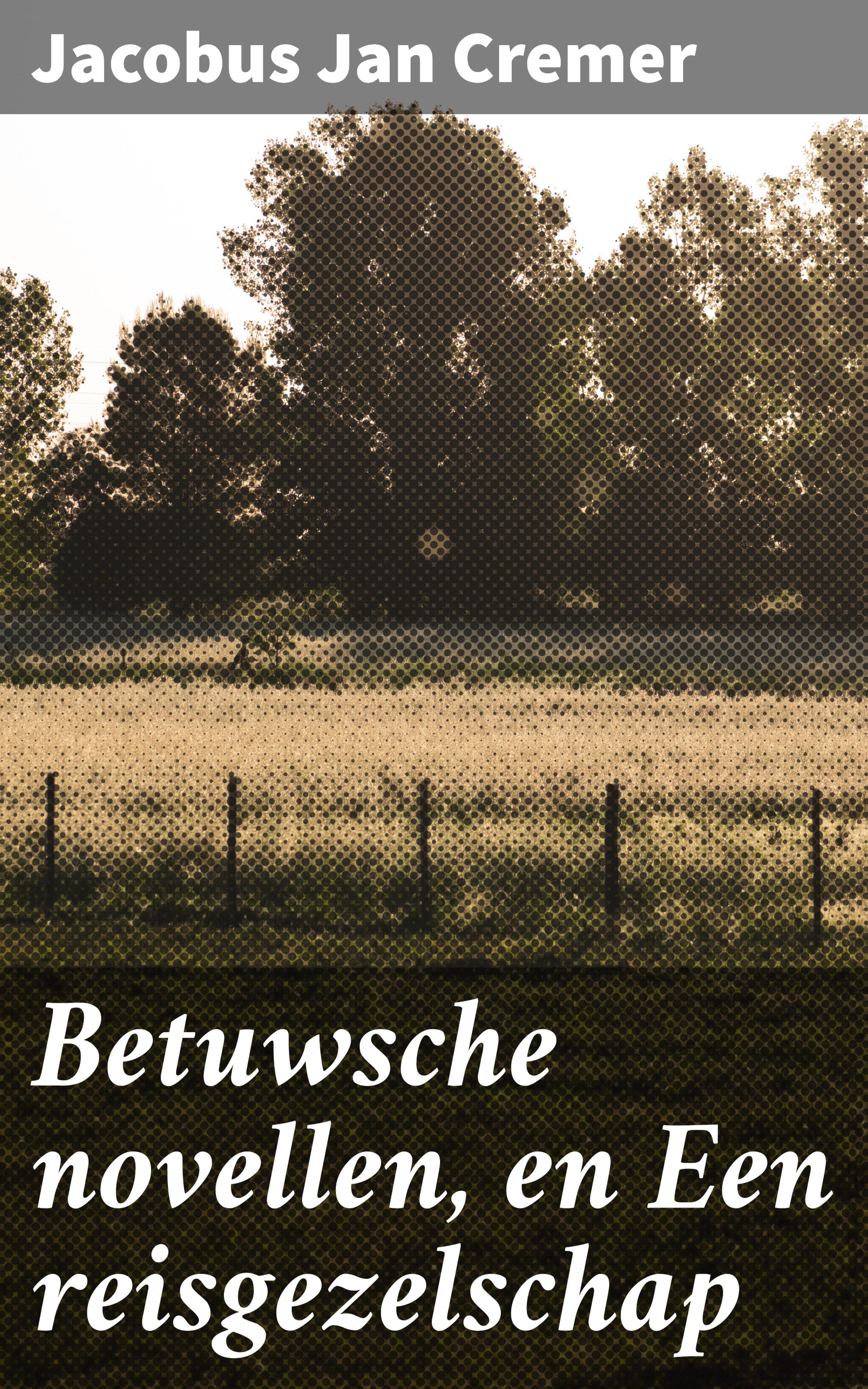 Обложка книги «Betuwsche novellen, en Een reisgezelschap»