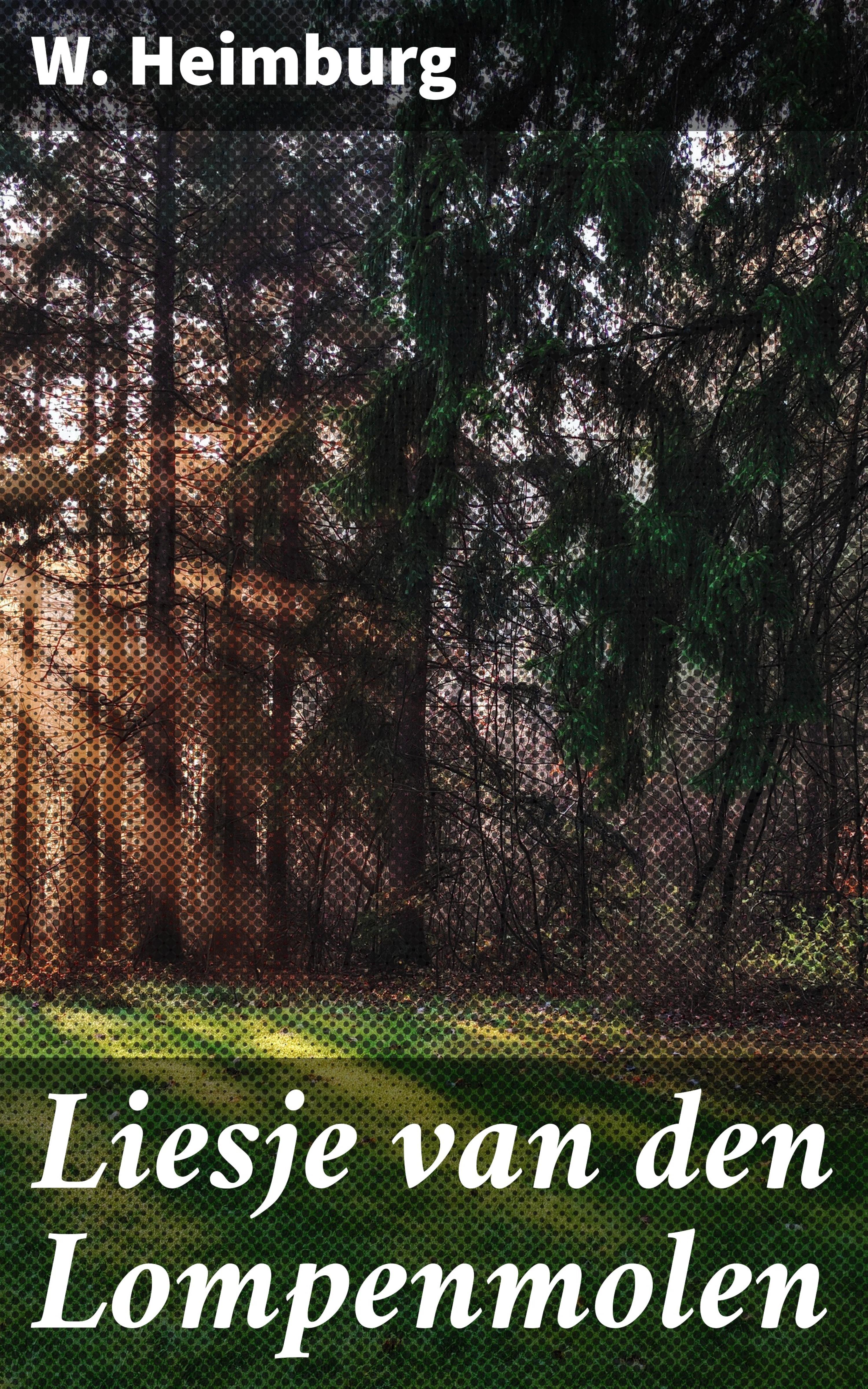 Обложка книги «Liesje van den Lompenmolen»
