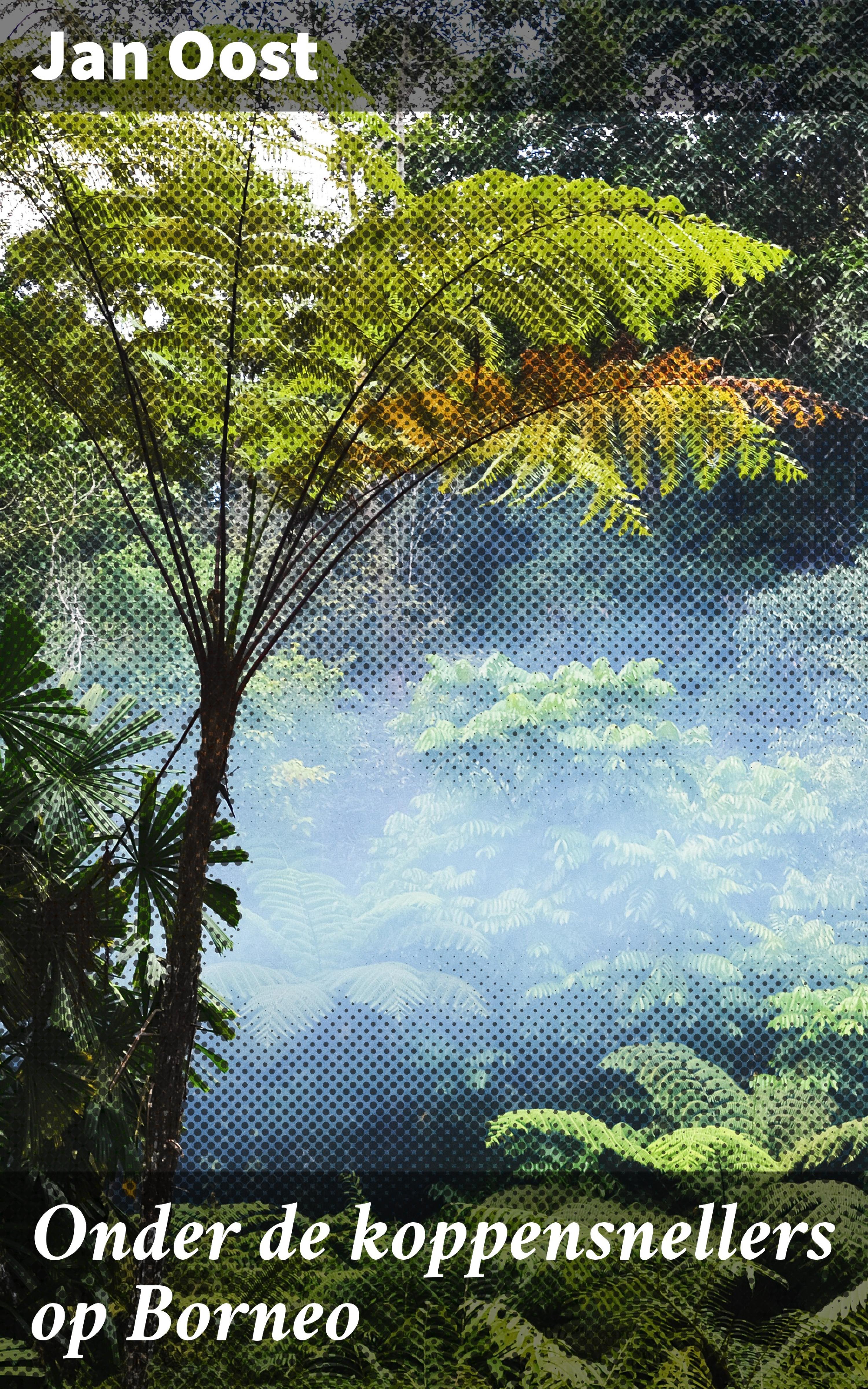 Обложка книги «Onder de koppensnellers op Borneo»