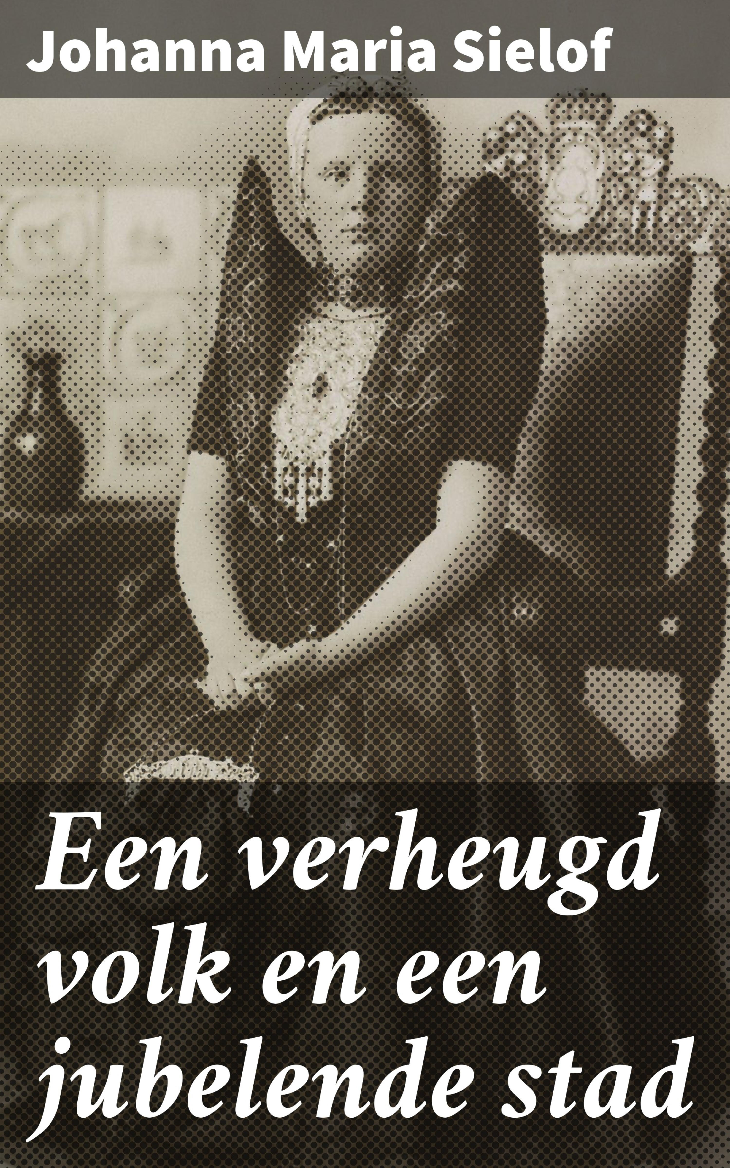 Обложка книги «Een verheugd volk en een jubelende stad»