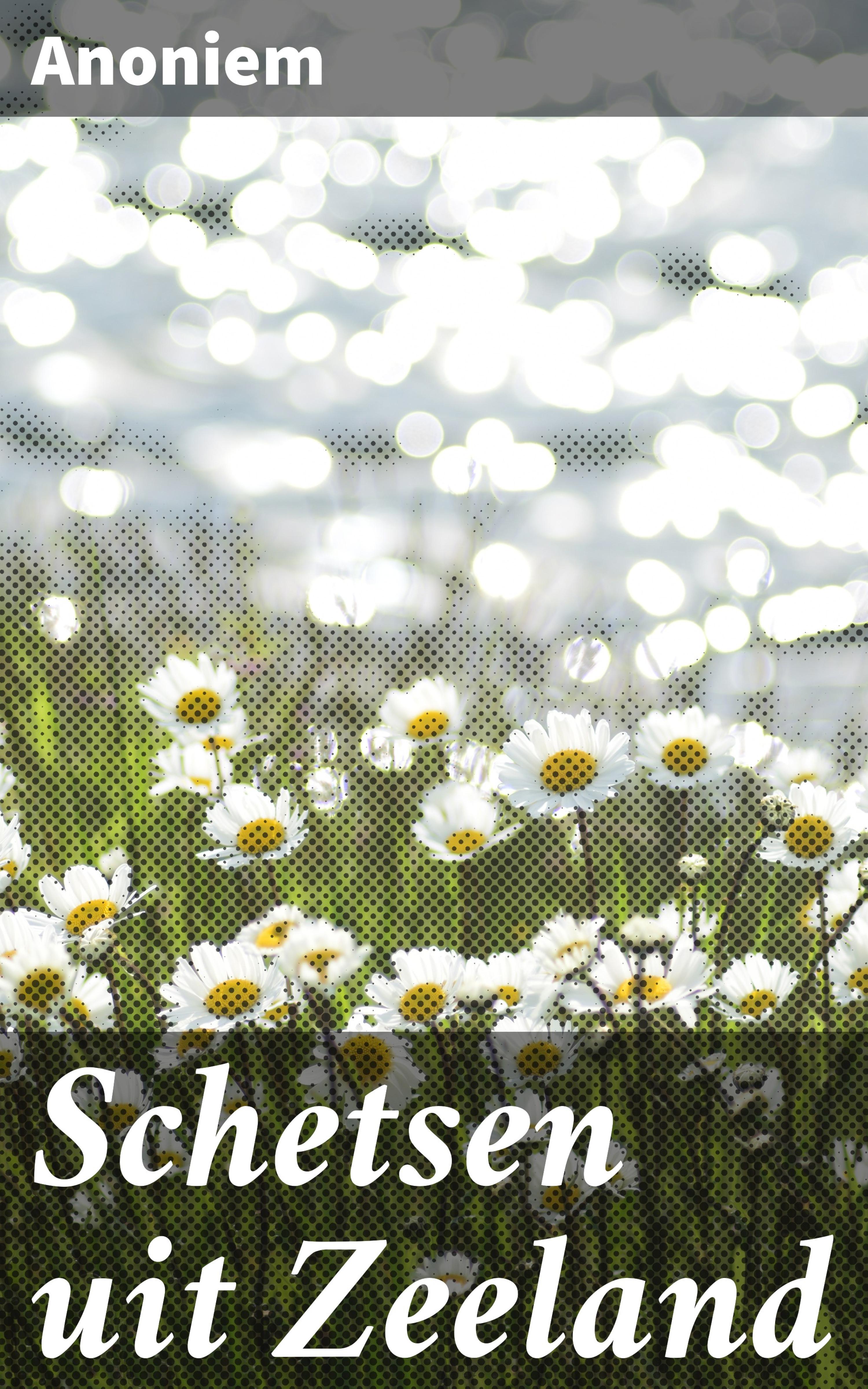 Обложка книги «Schetsen uit Zeeland»