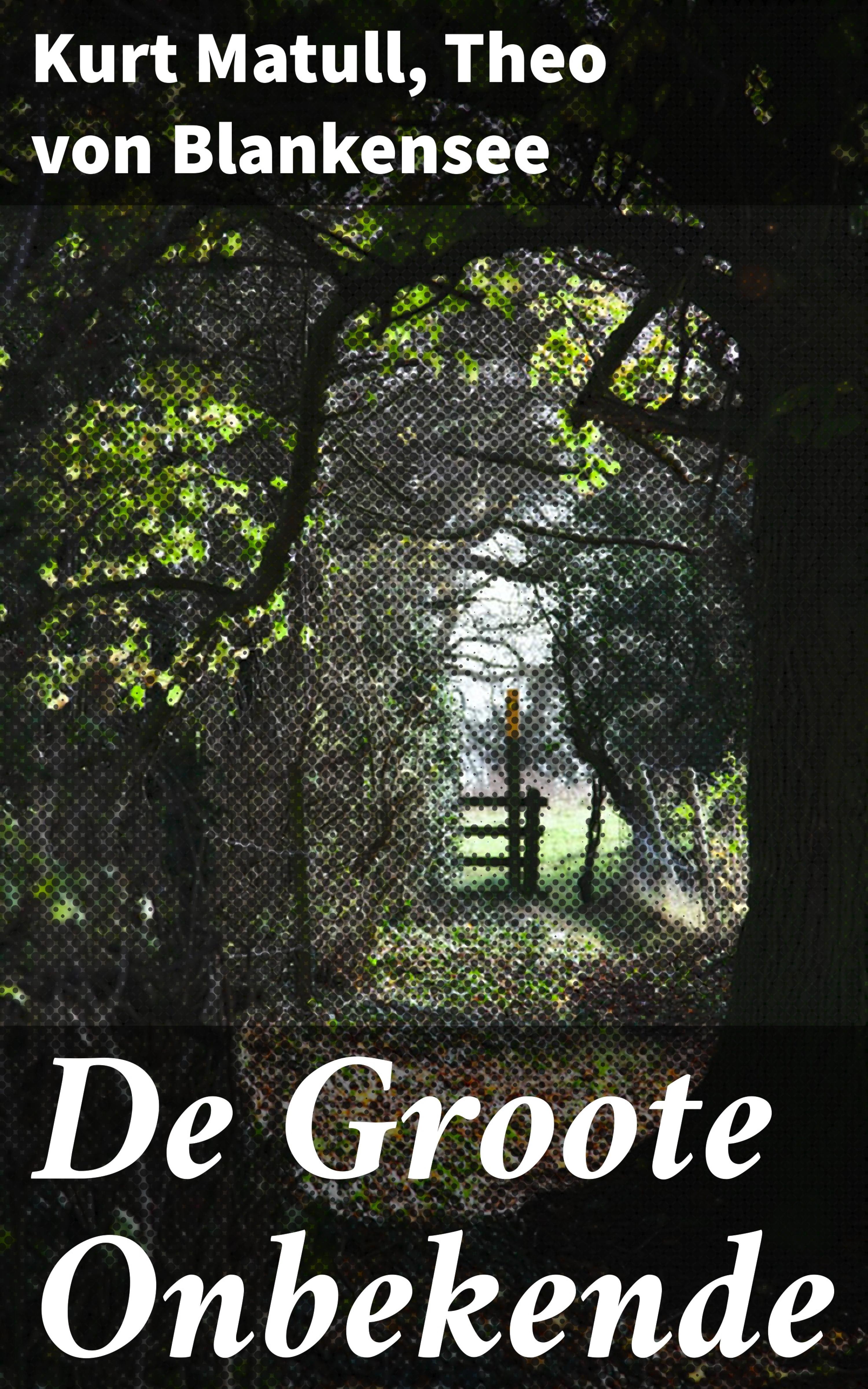 Обложка книги «De Groote Onbekende»