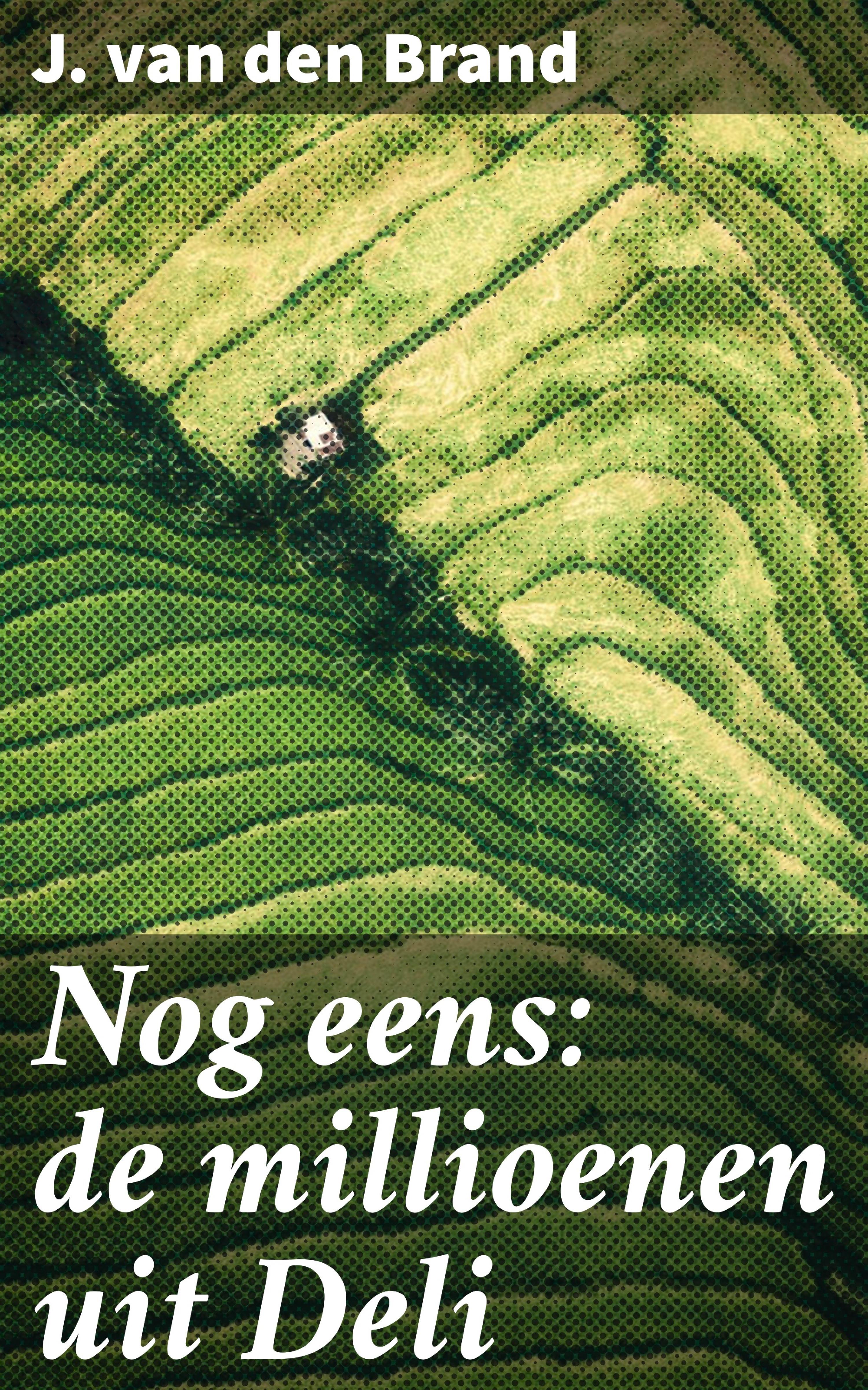 Обложка книги «Nog eens: de millioenen uit Deli»