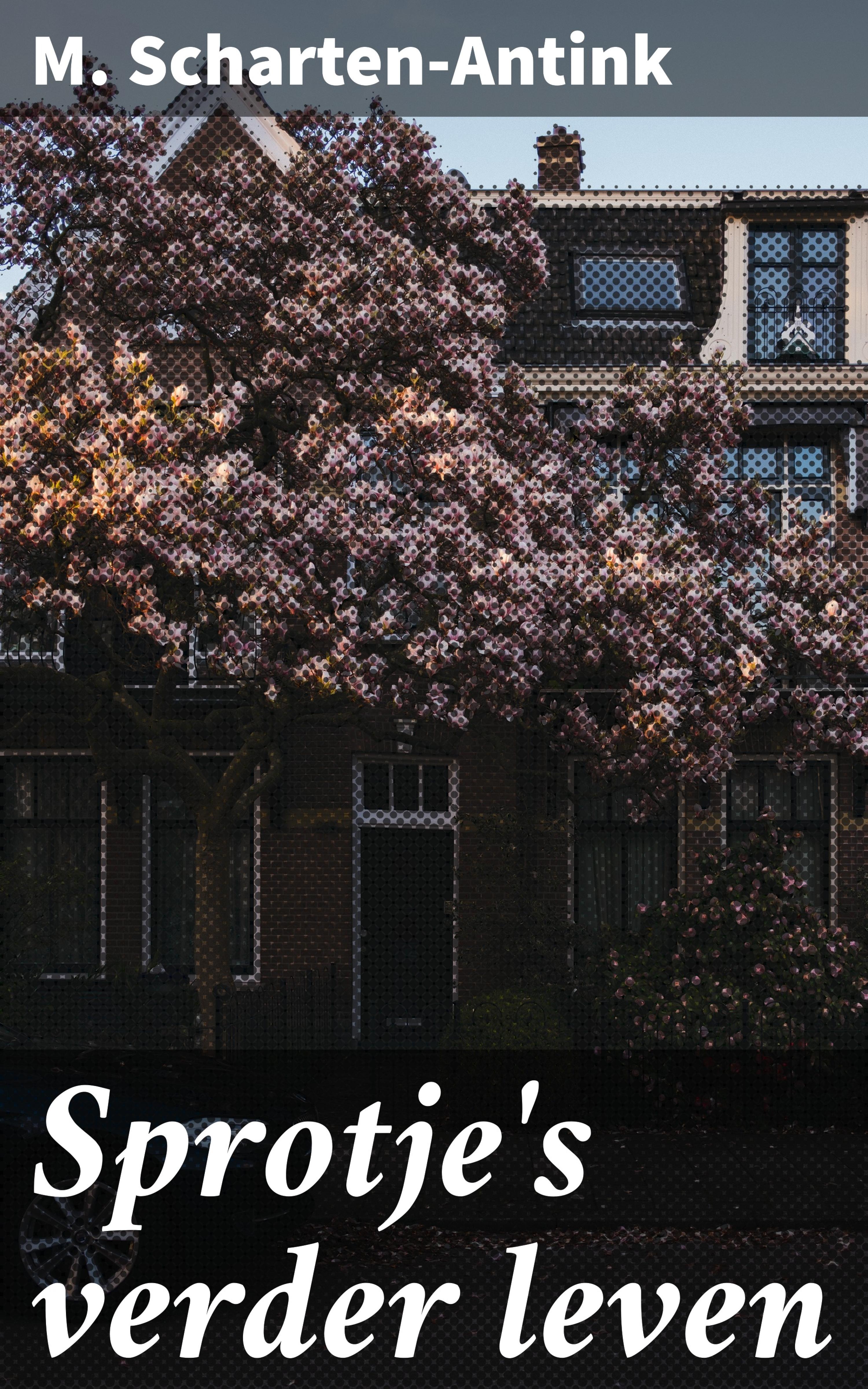 Обложка книги «Sprotje's verder leven»
