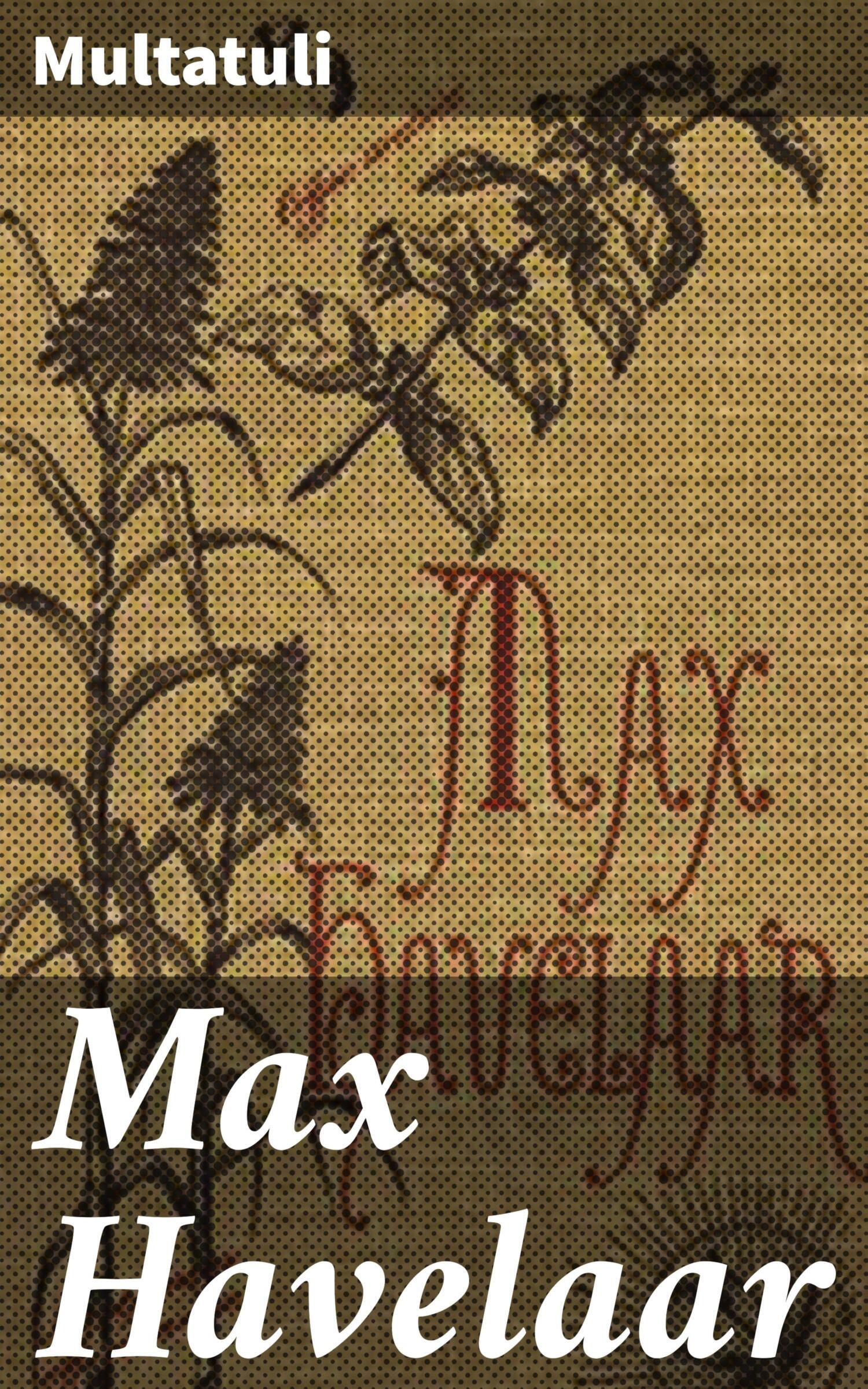 Обложка книги «Max Havelaar»
