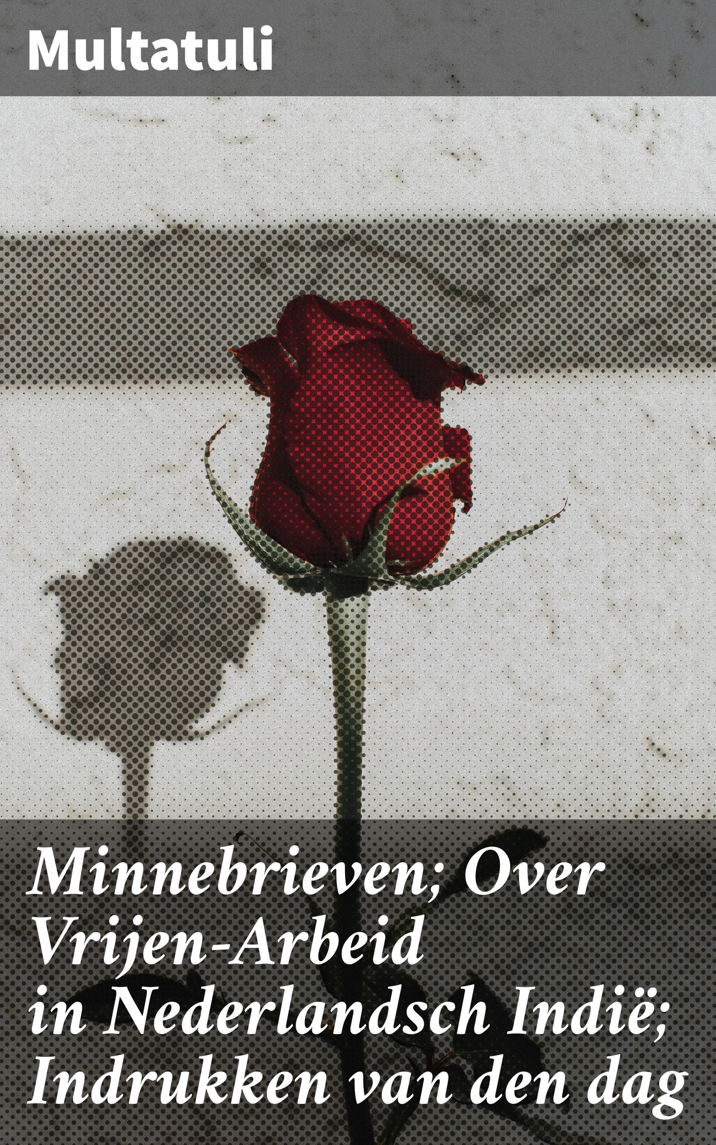 Обложка книги «Minnebrieven; Over Vrijen-Arbeid in Nederlandsch Indië; Indrukken van den dag»