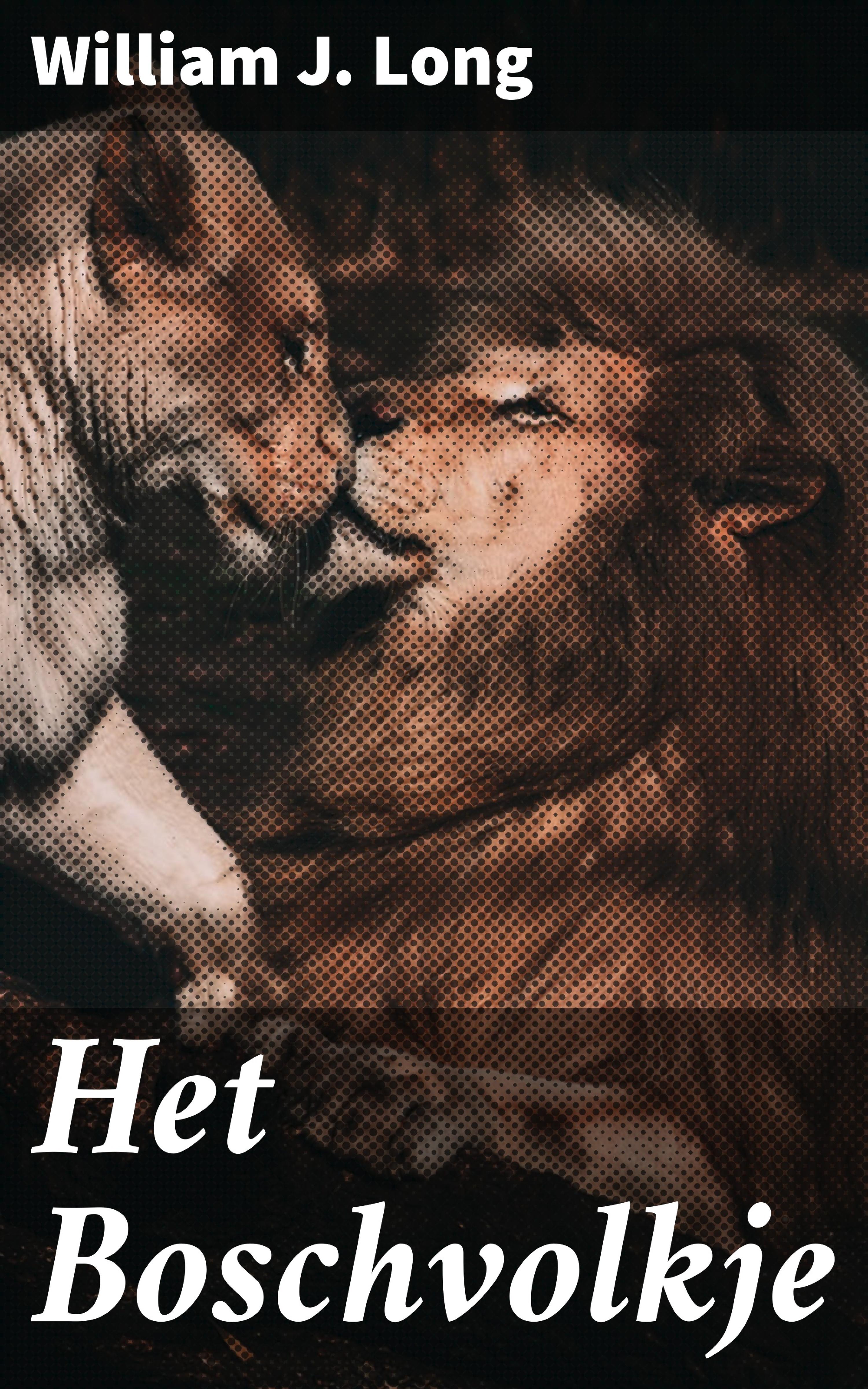Обложка книги «Het Boschvolkje»