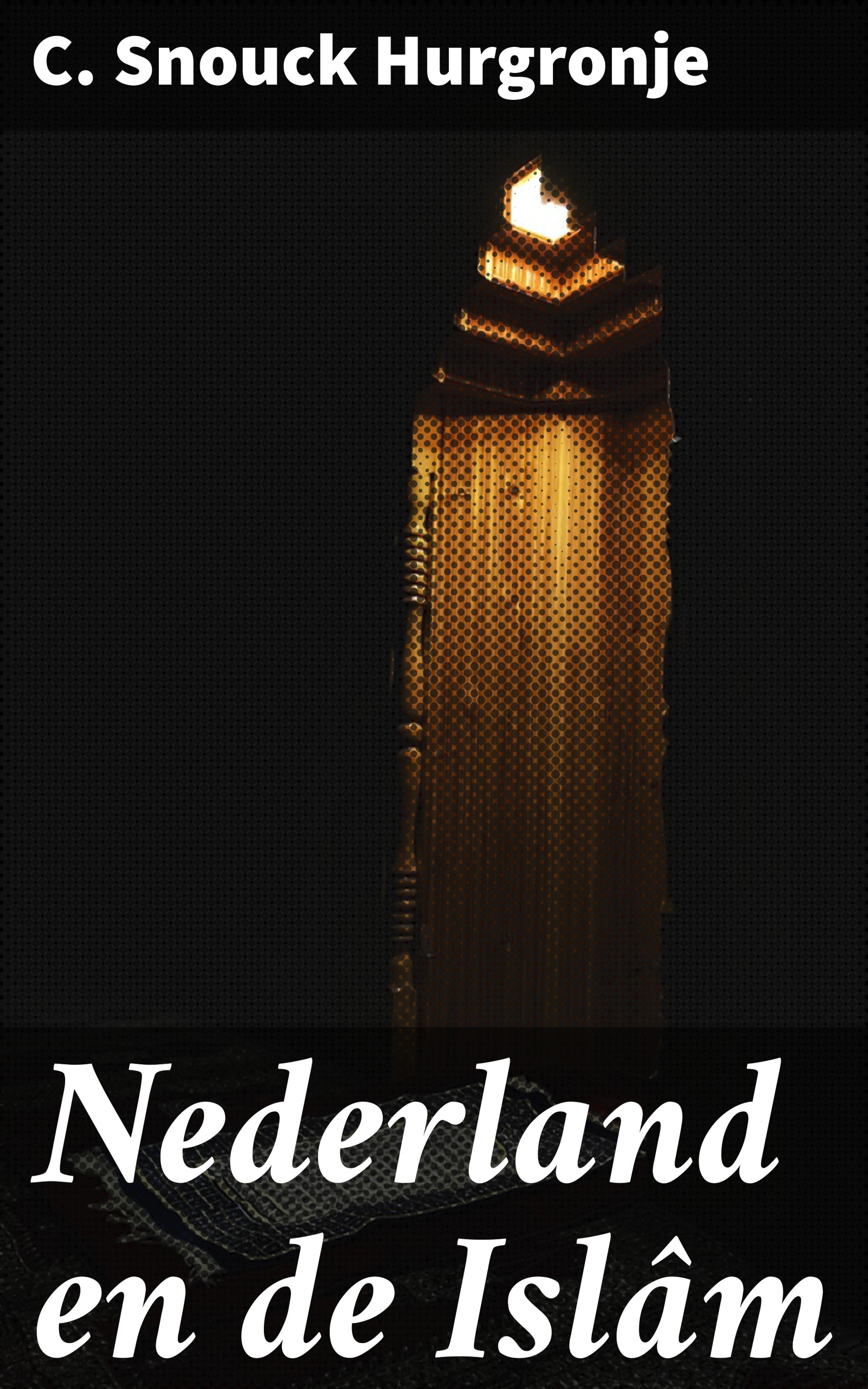 Обложка книги «Nederland en de Islâm»