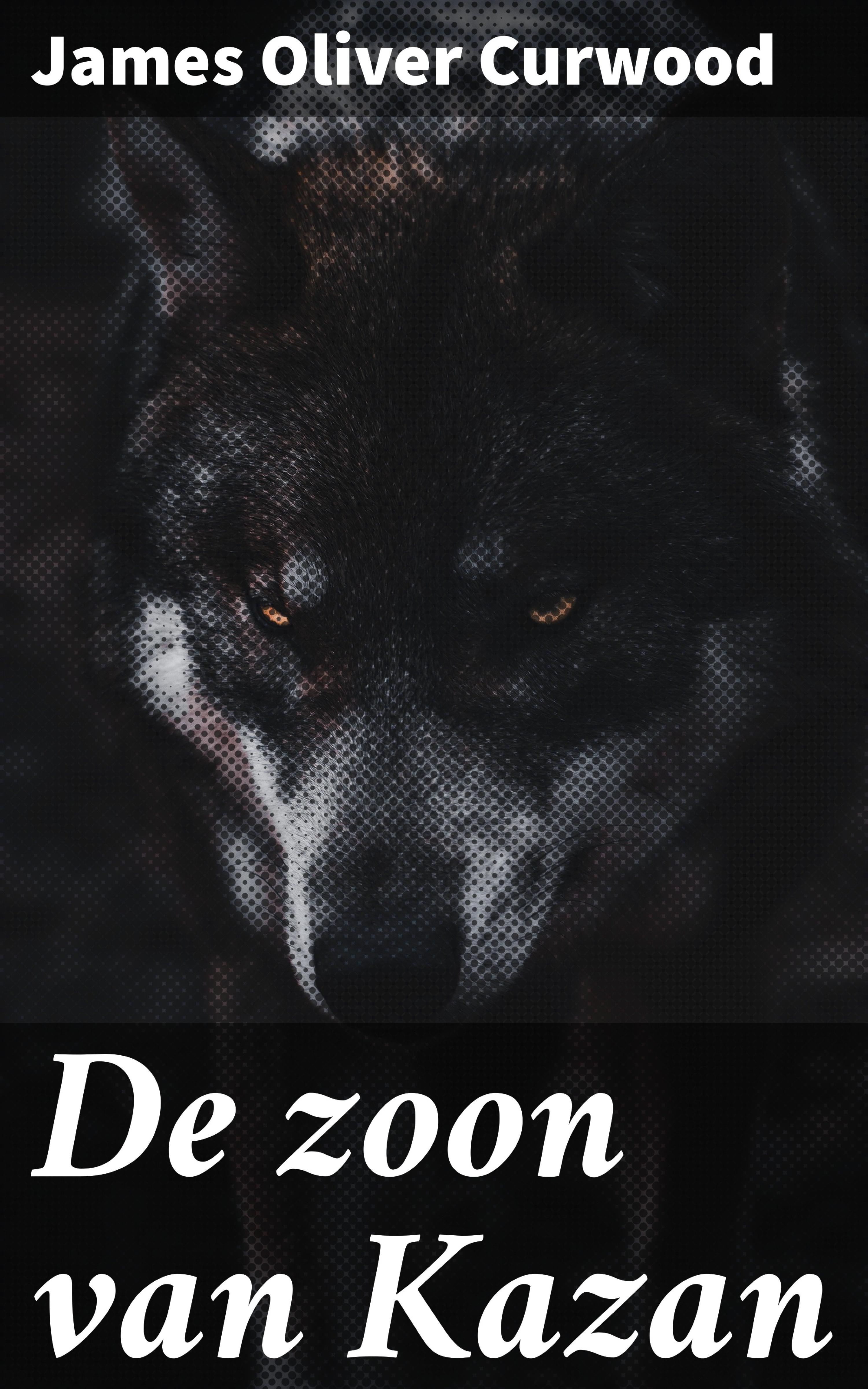 Обложка книги «De zoon van Kazan»