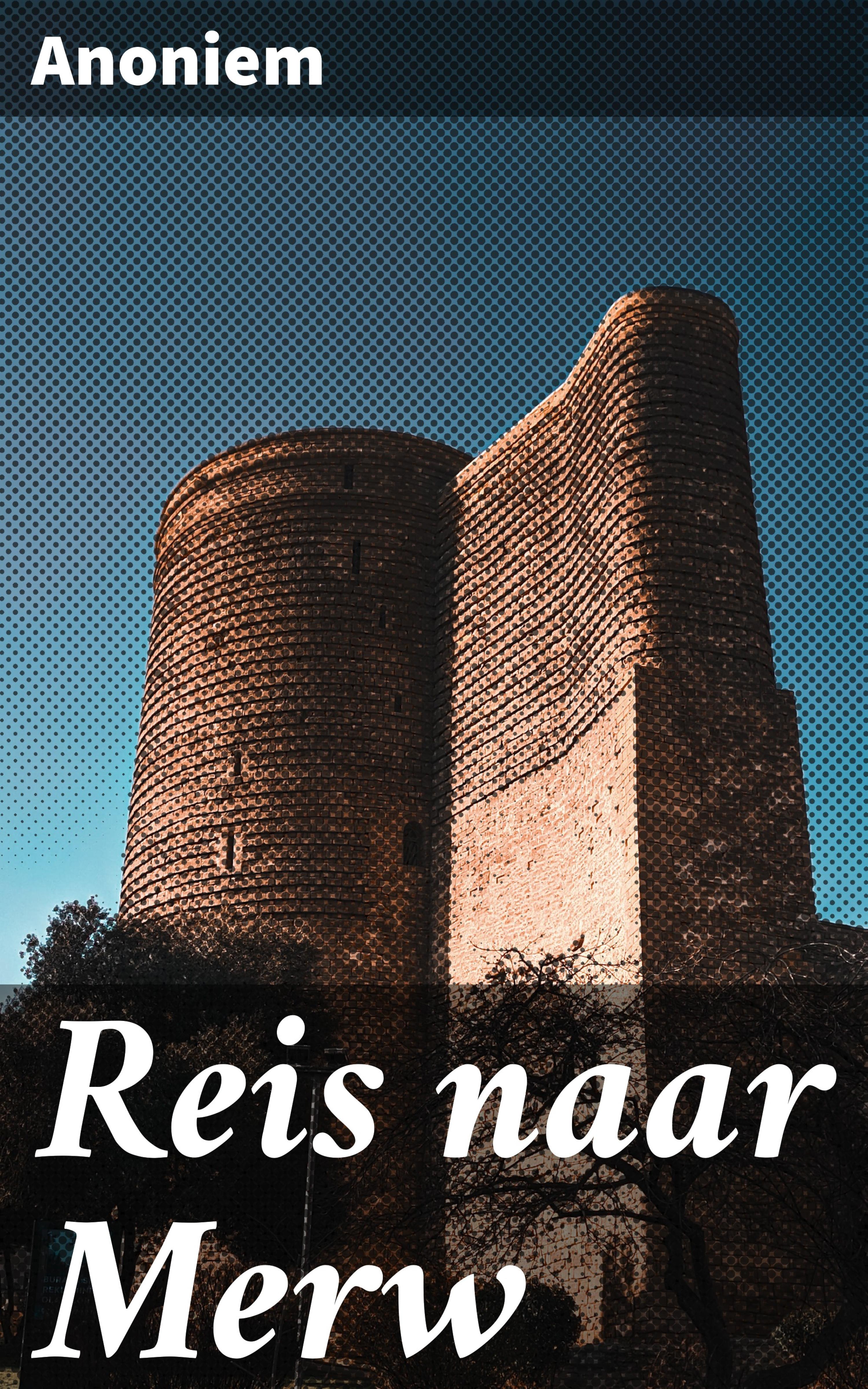 Обложка книги «Reis naar Merw»
