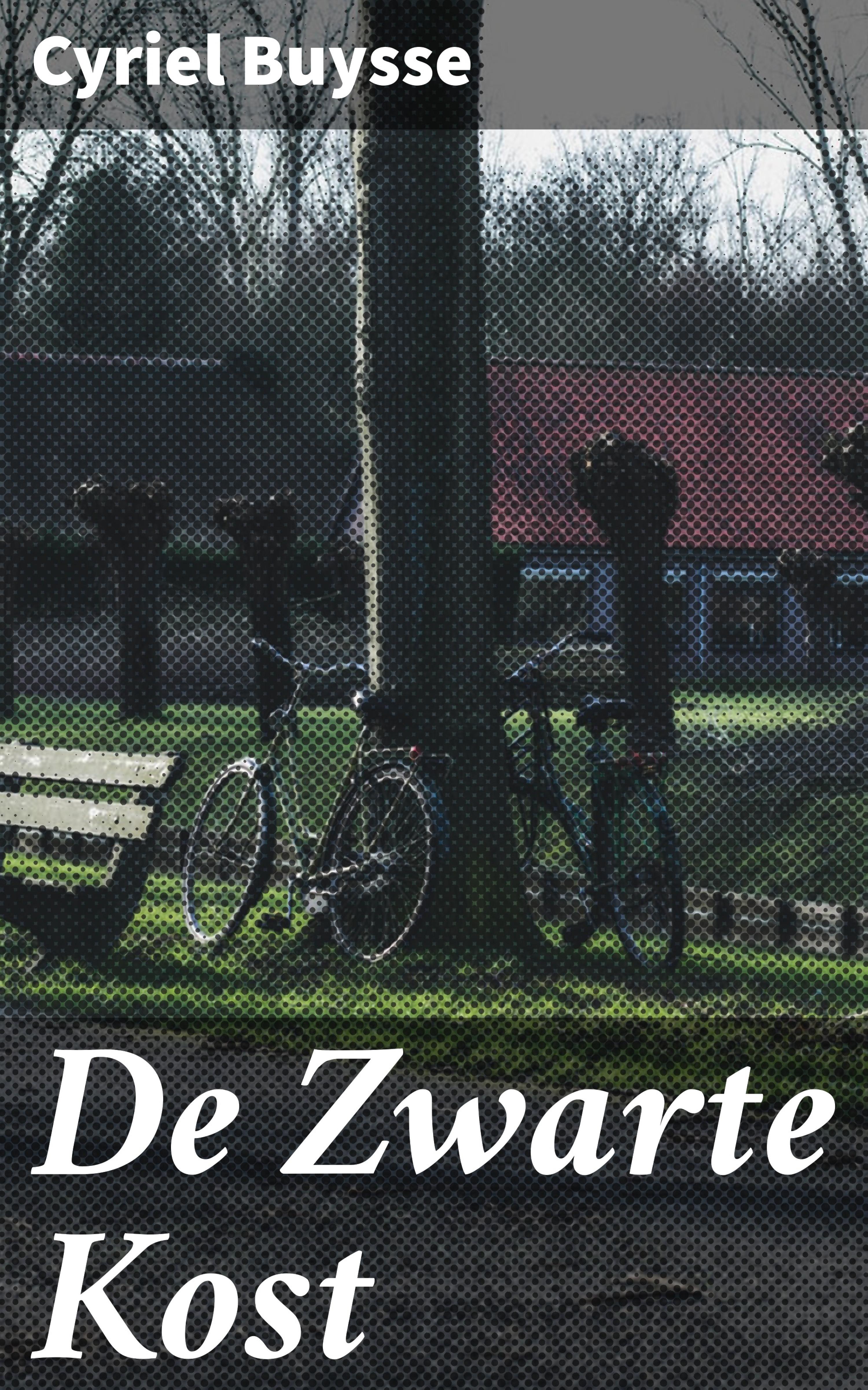 Обложка книги «De Zwarte Kost»