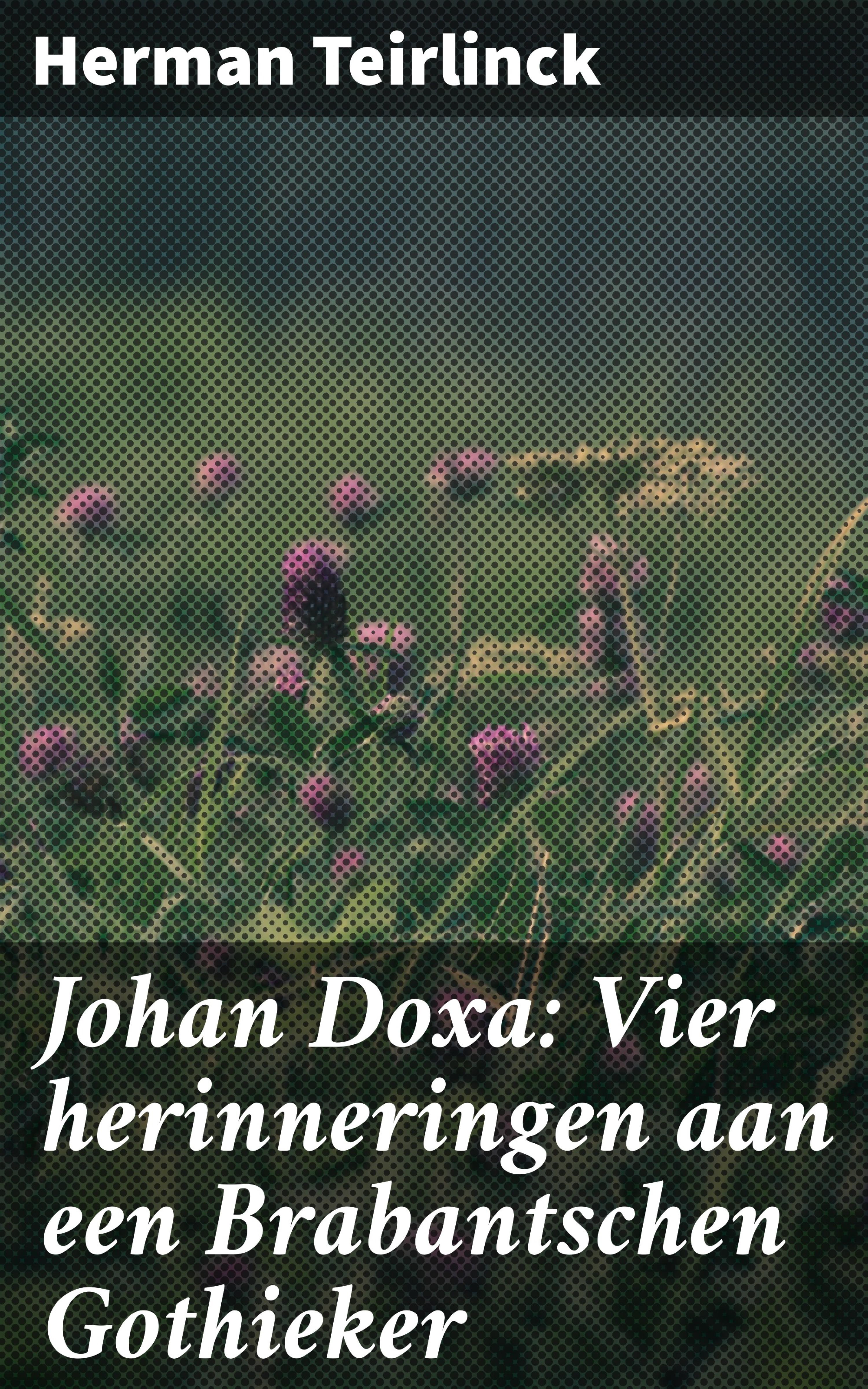 Обложка книги «Johan Doxa: Vier herinneringen aan een Brabantschen Gothieker»