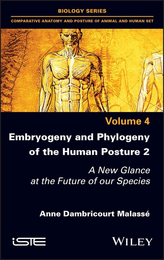 Обложка книги «Embryogeny and Phylogeny of the Human Posture 2»
