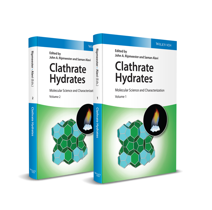 Обложка книги «Clathrate Hydrates»