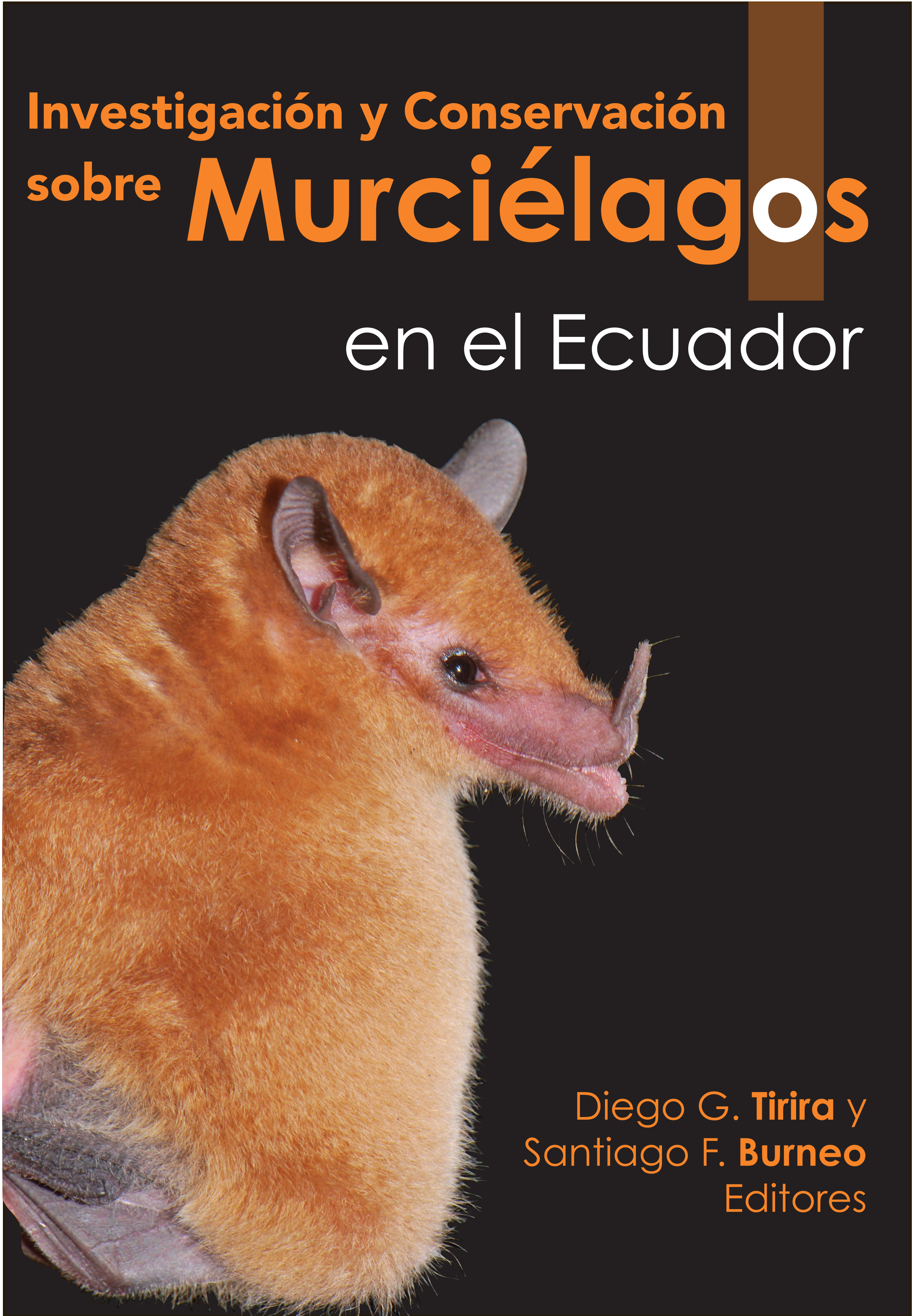 Обложка книги «INVESTIGACIÓN Y CONSERVACIÓN SOBRE MURCIÉLAGOS EN EL ECUADOR»