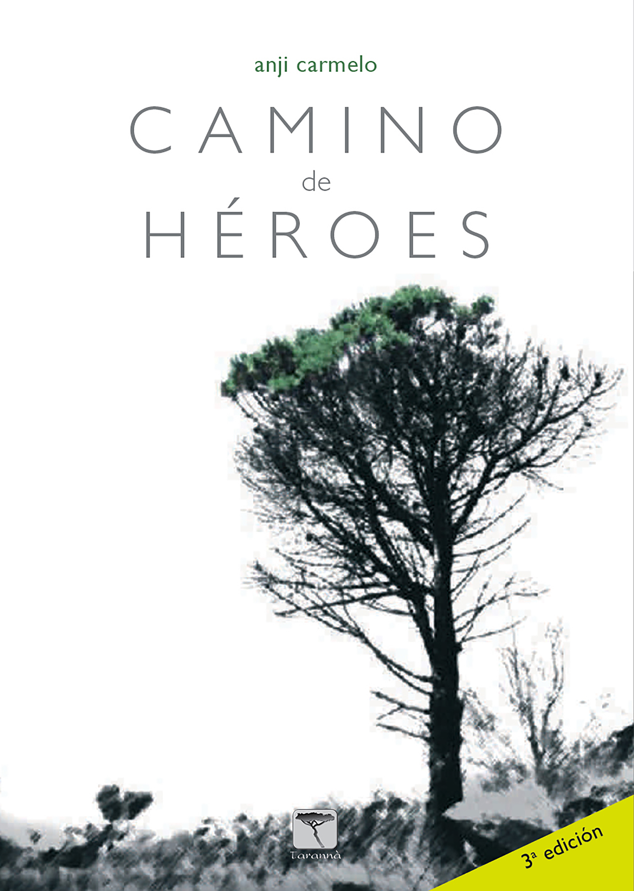 Обложка книги «Camino de héroes»