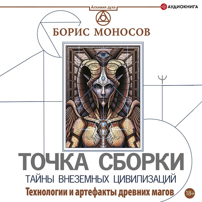 Обложка книги «Точка сборки. Тайны внеземных цивилизаций. Технологии и артефакты древних магов»