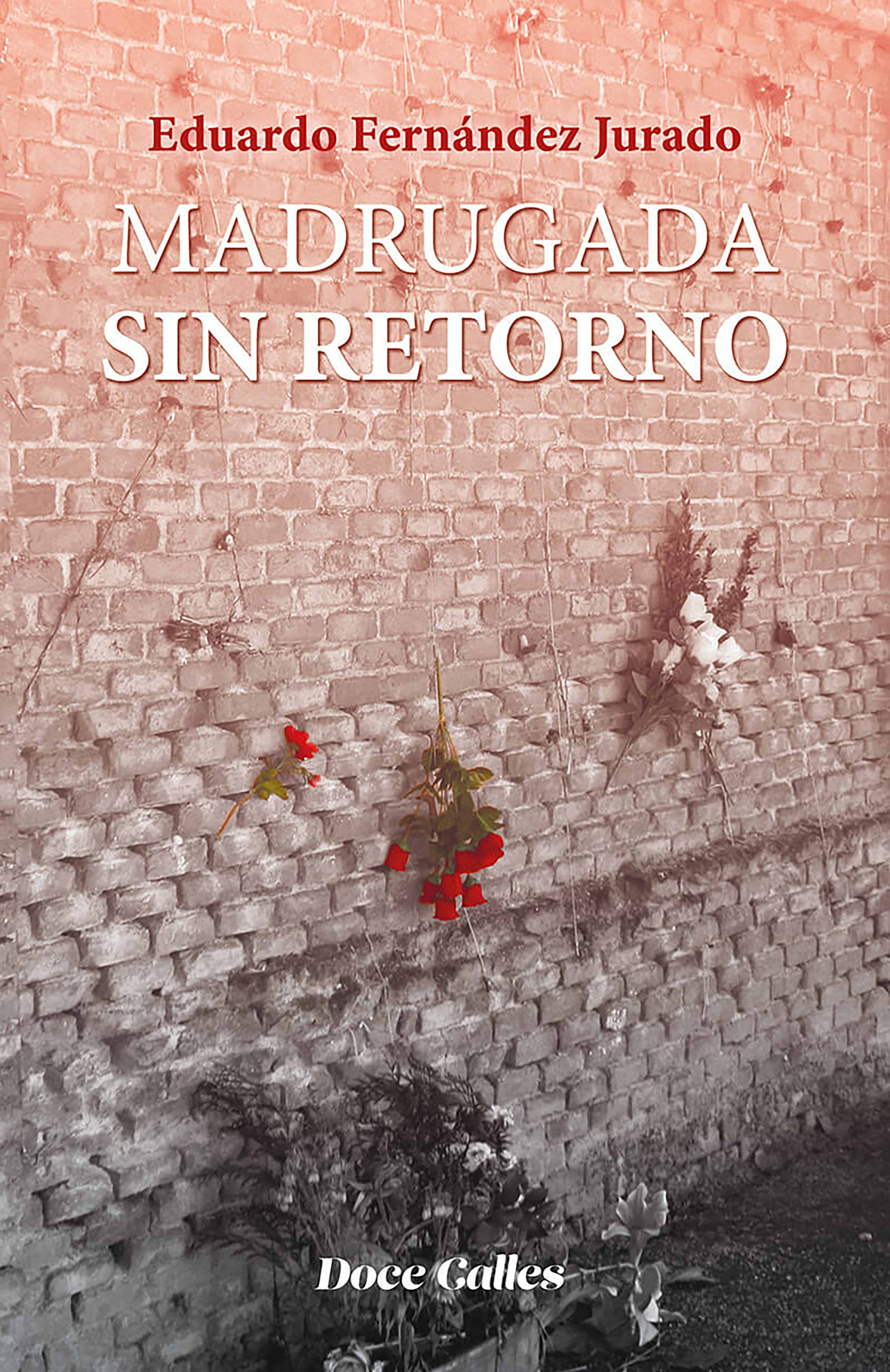 Обложка книги «Madrugada sin retorno»