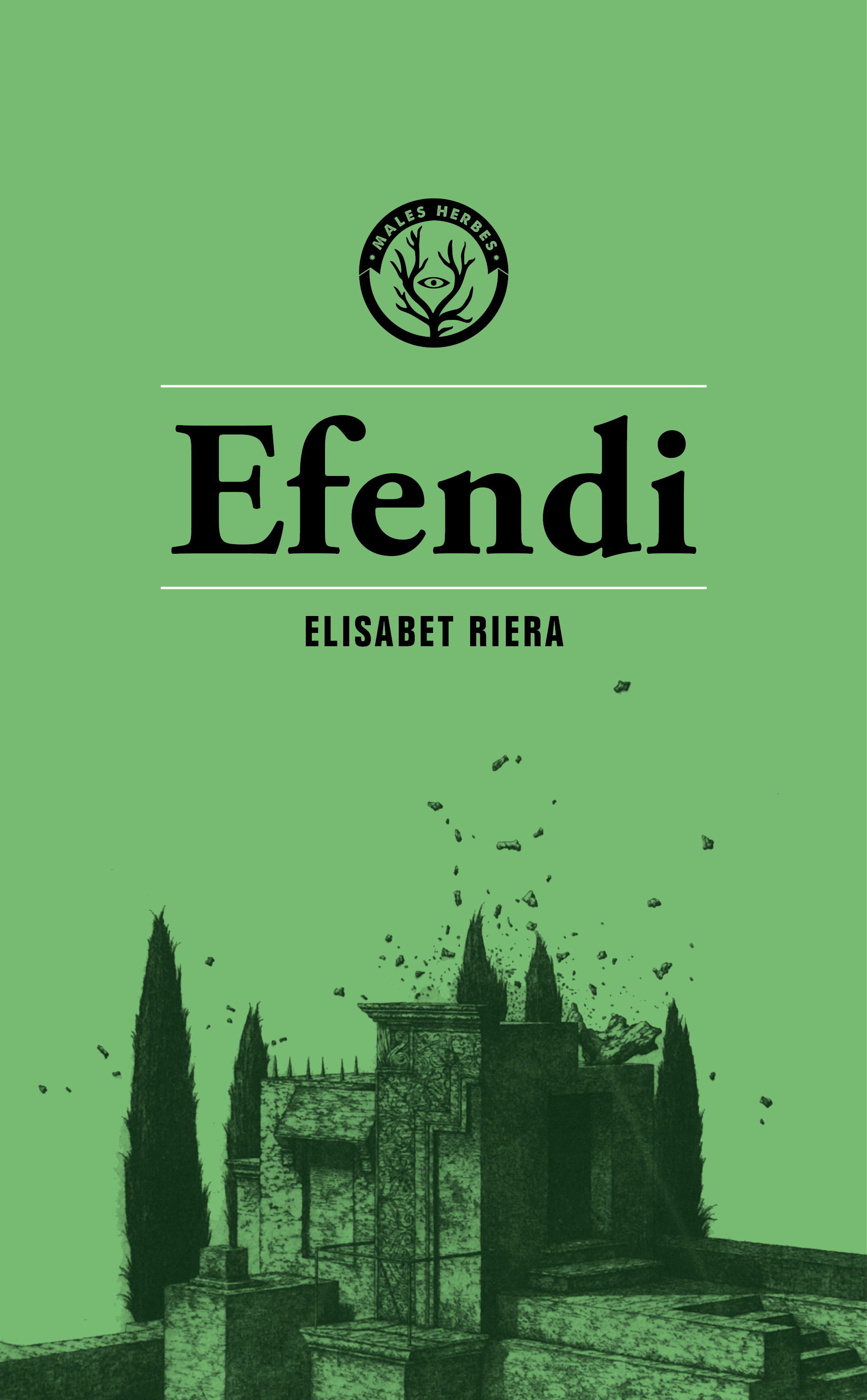 Обложка книги «Efendi»
