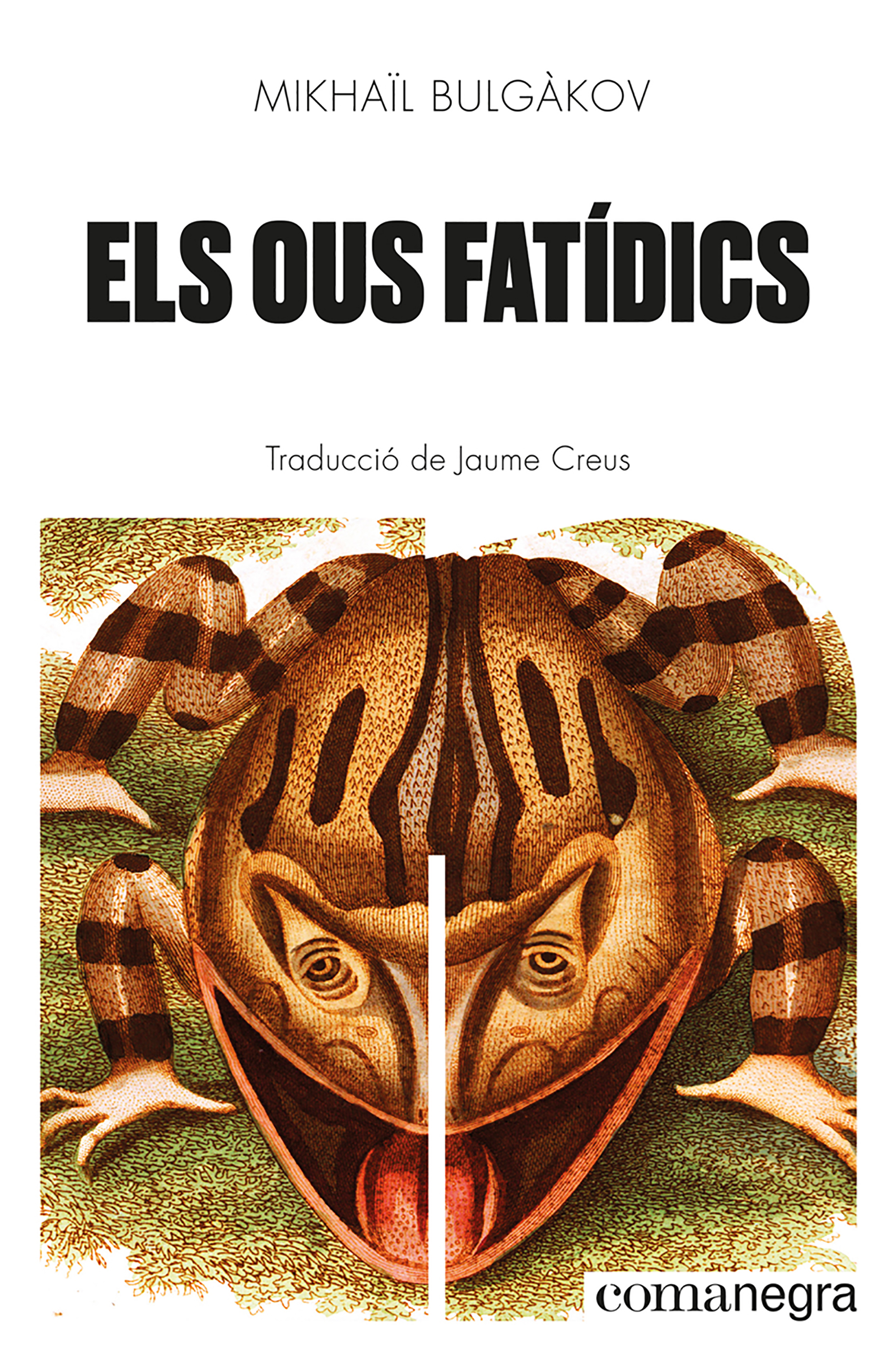 Обложка книги «Els ous fatídics»