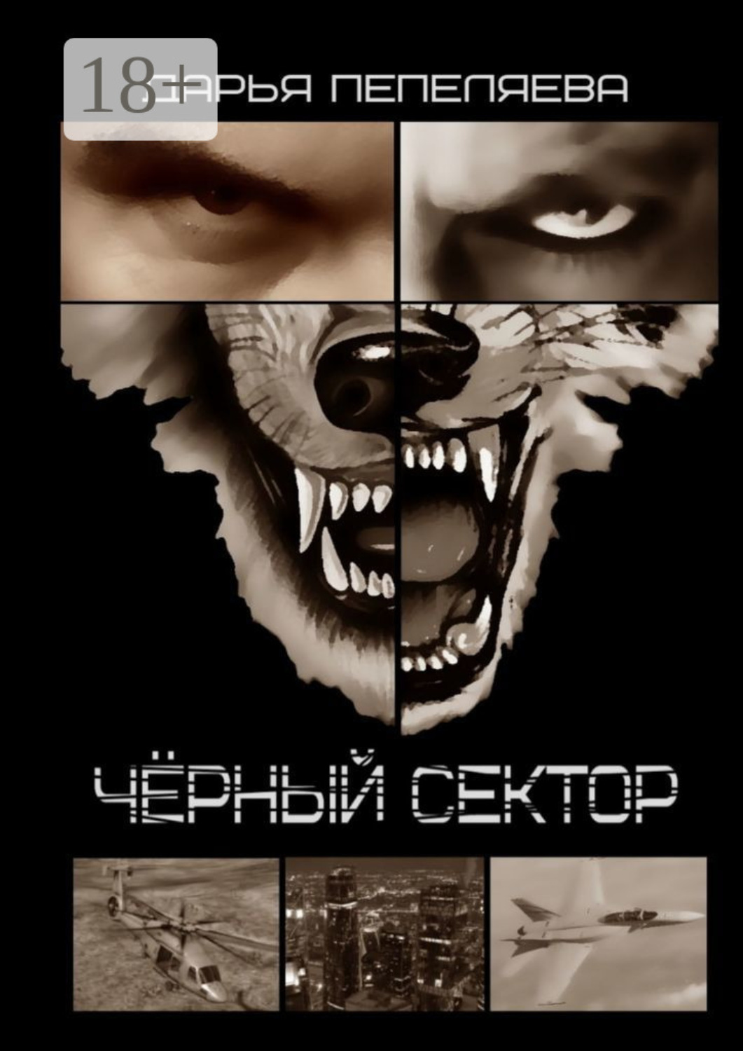 Обложка книги «Чёрный сектор»