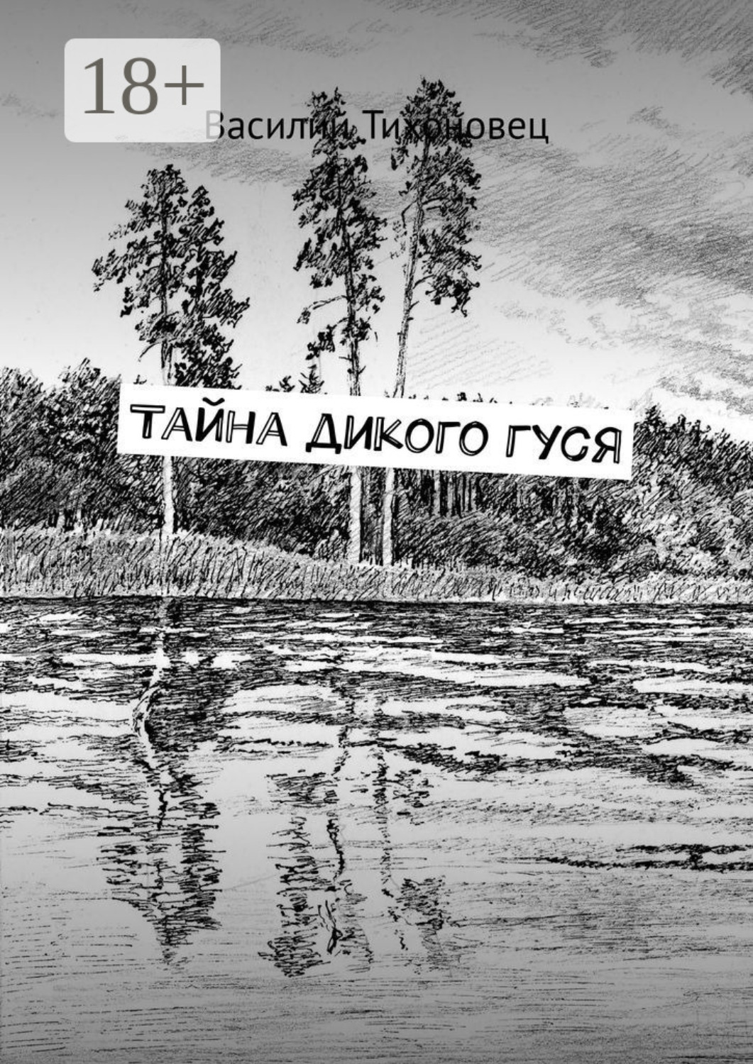 Обложка книги «Тайна дикого гуся»
