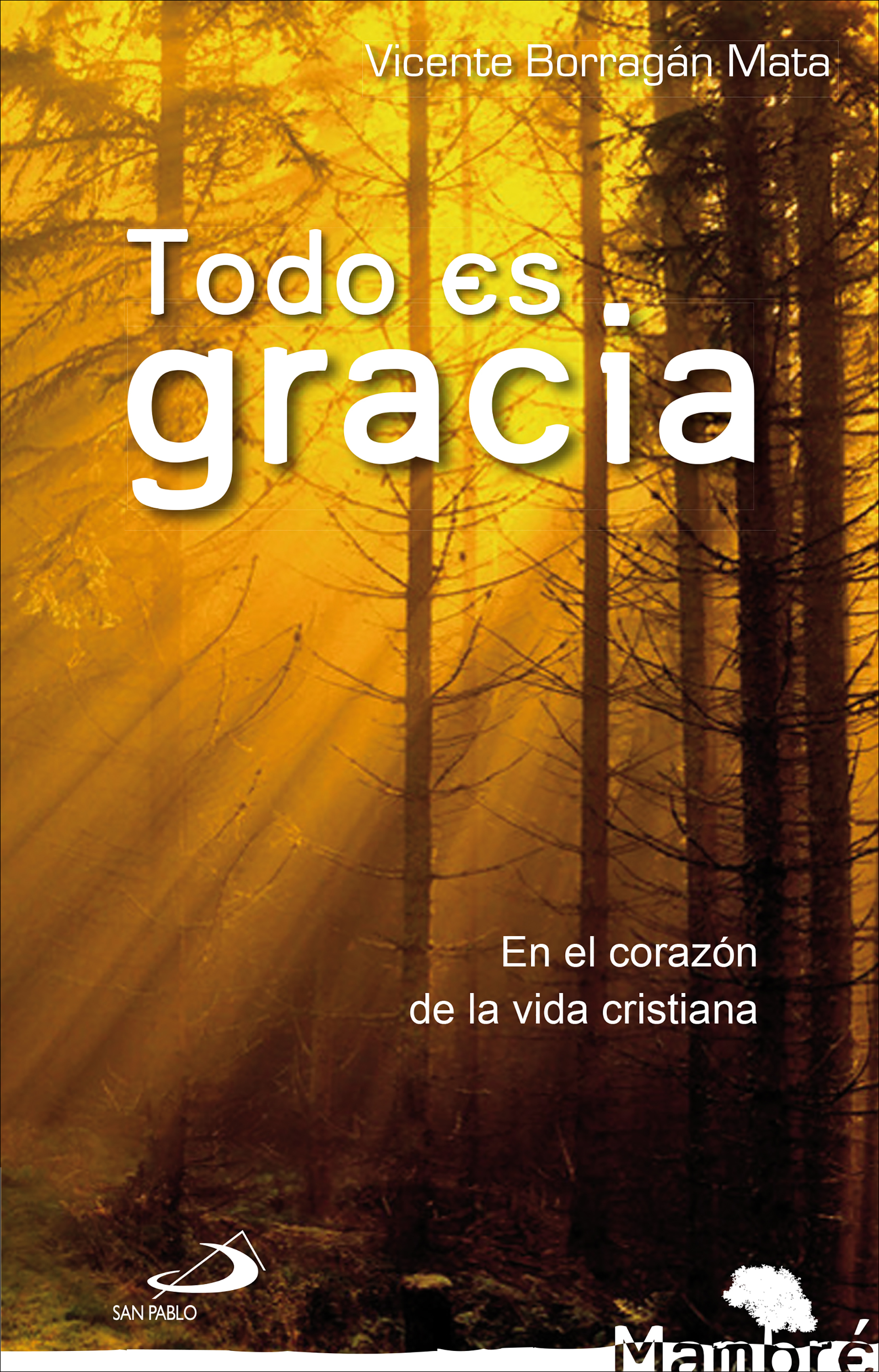 Обложка книги «Todo es gracia»