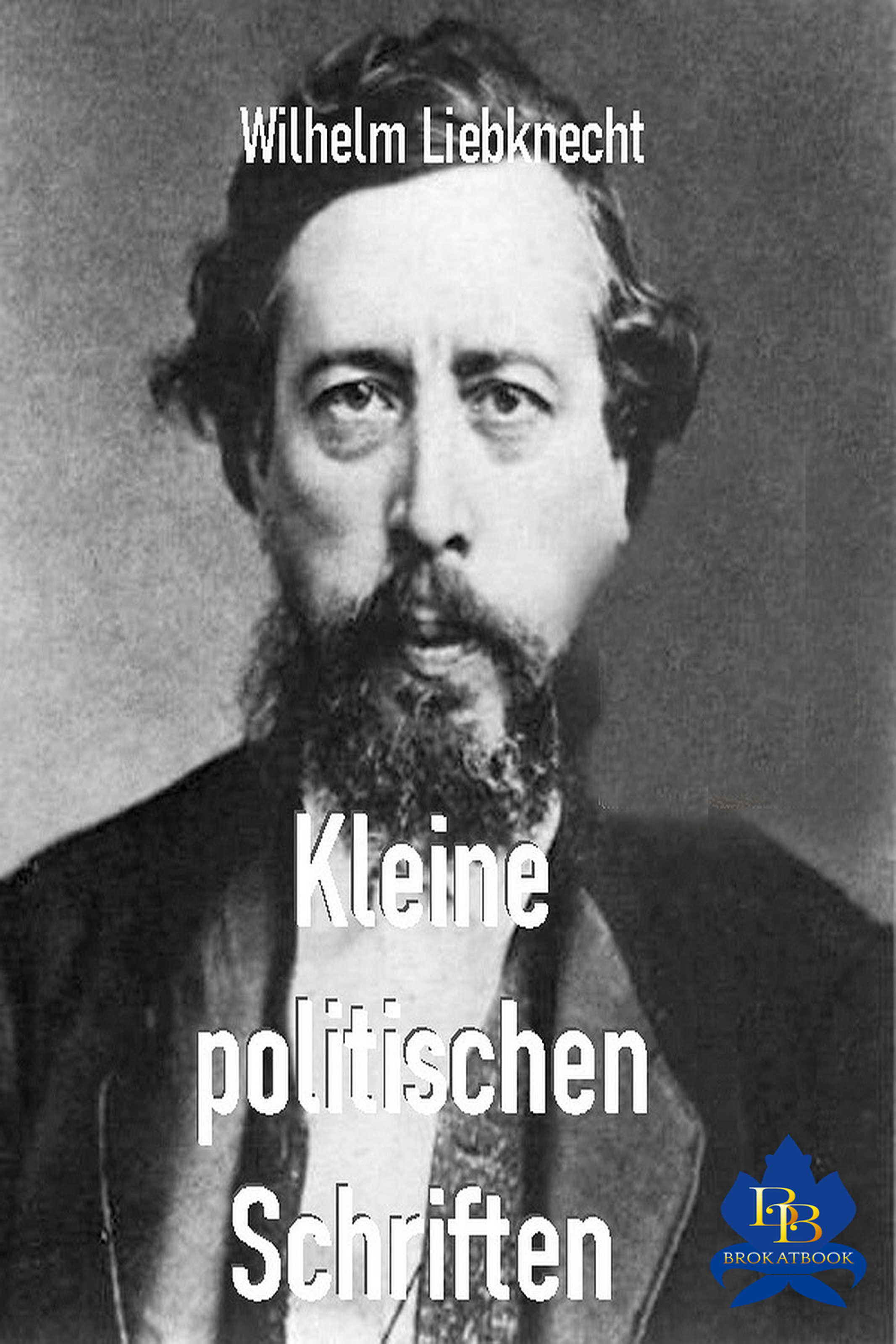 Обложка книги «Kleine politische Schriften»