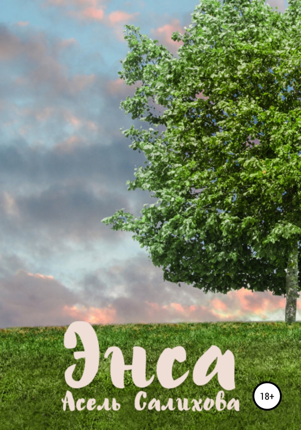 Обложка книги «Энса»
