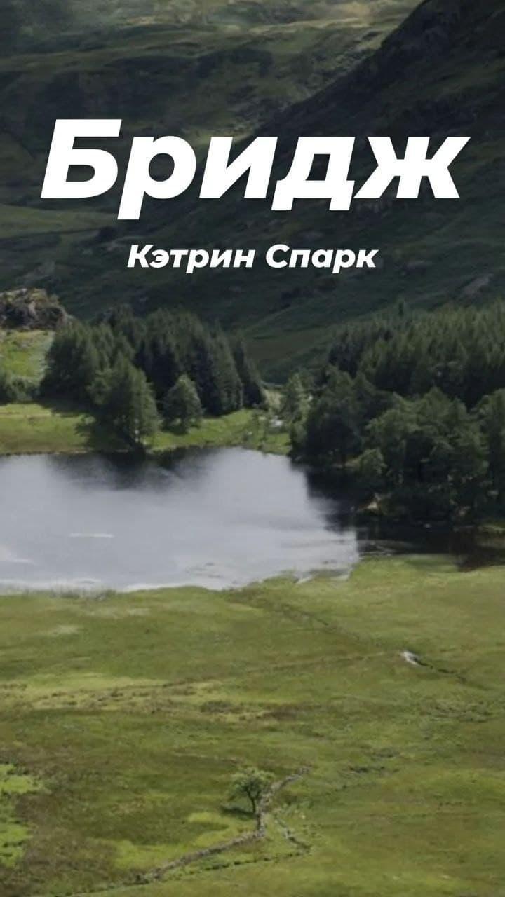 Обложка книги «Бридж»