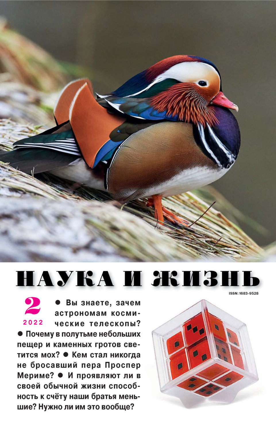 Обложка книги «Наука и жизнь №02/2022»