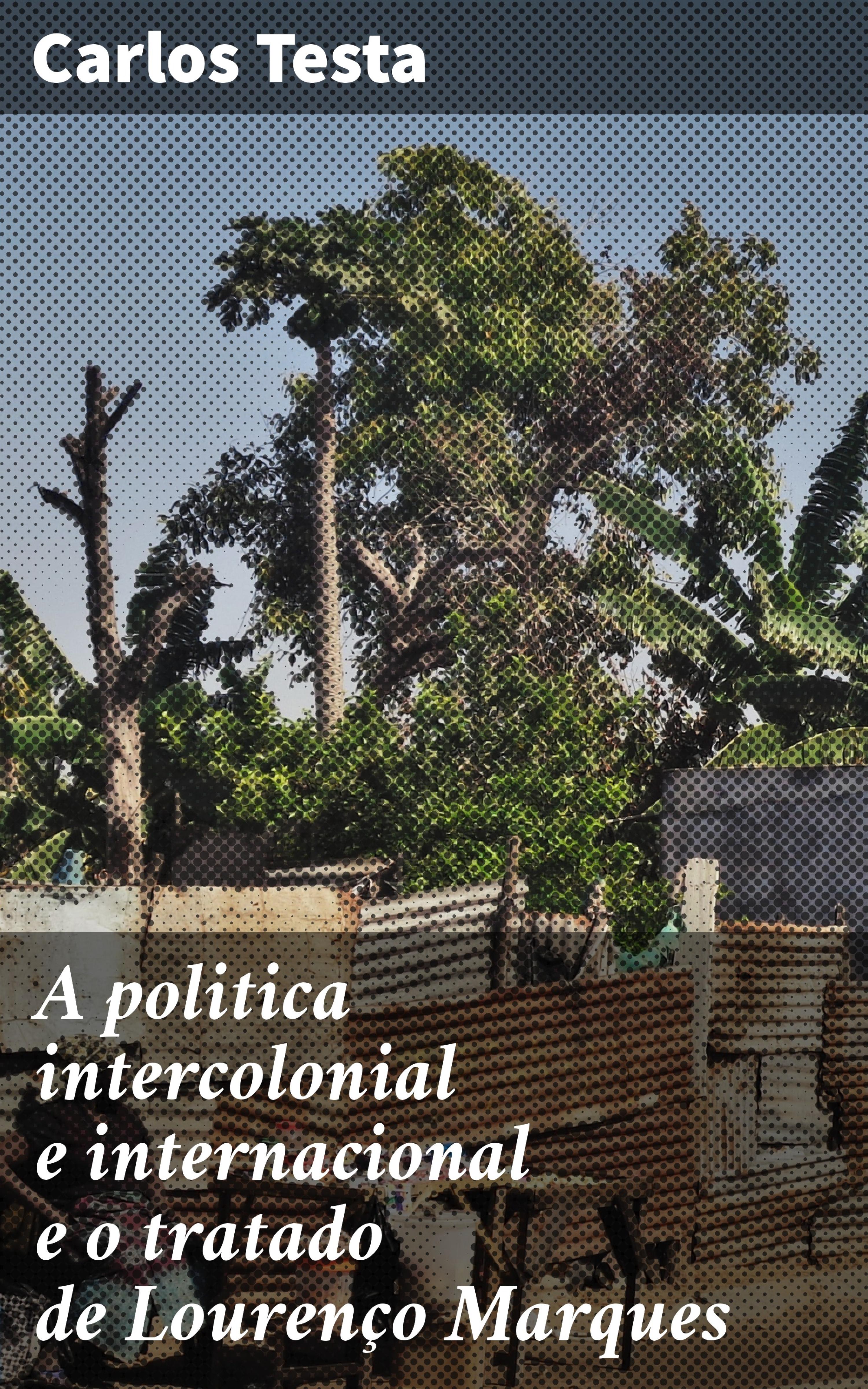 Обложка книги «A politica intercolonial e internacional e o tratado de Lourenço Marques»