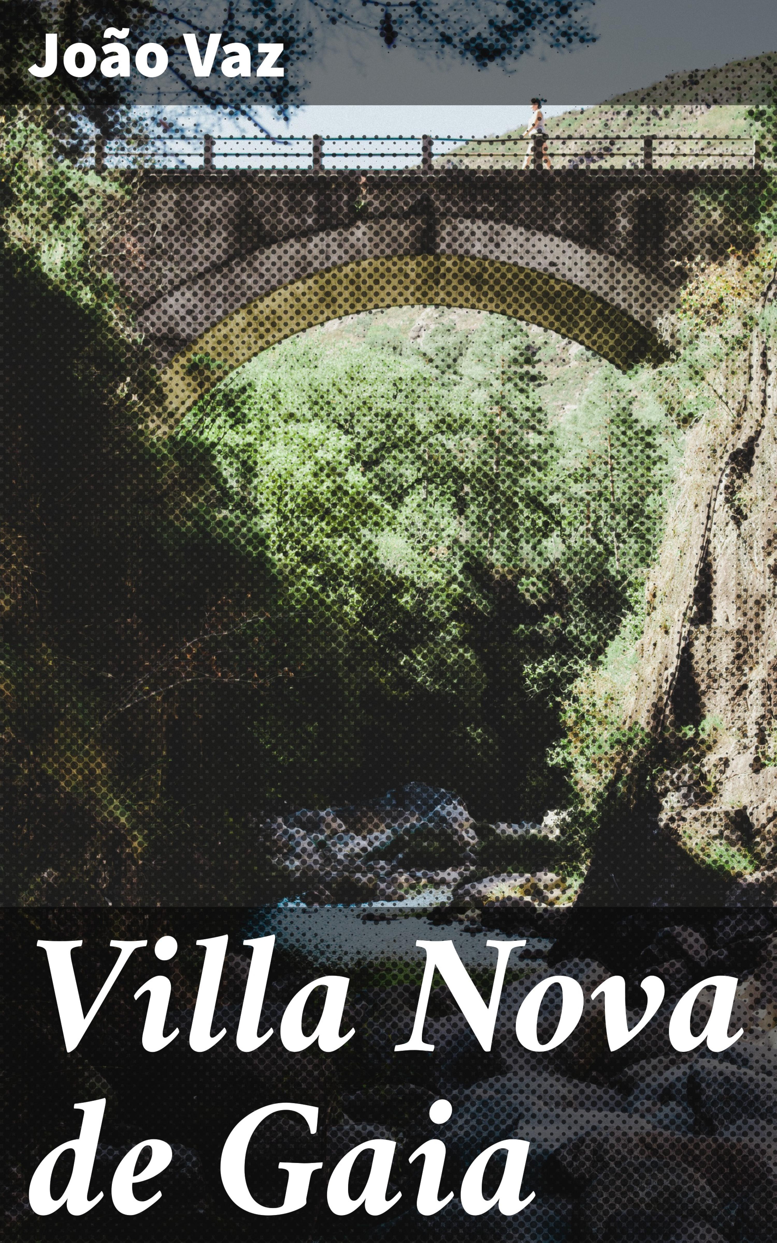 Обложка книги «Villa Nova de Gaia»