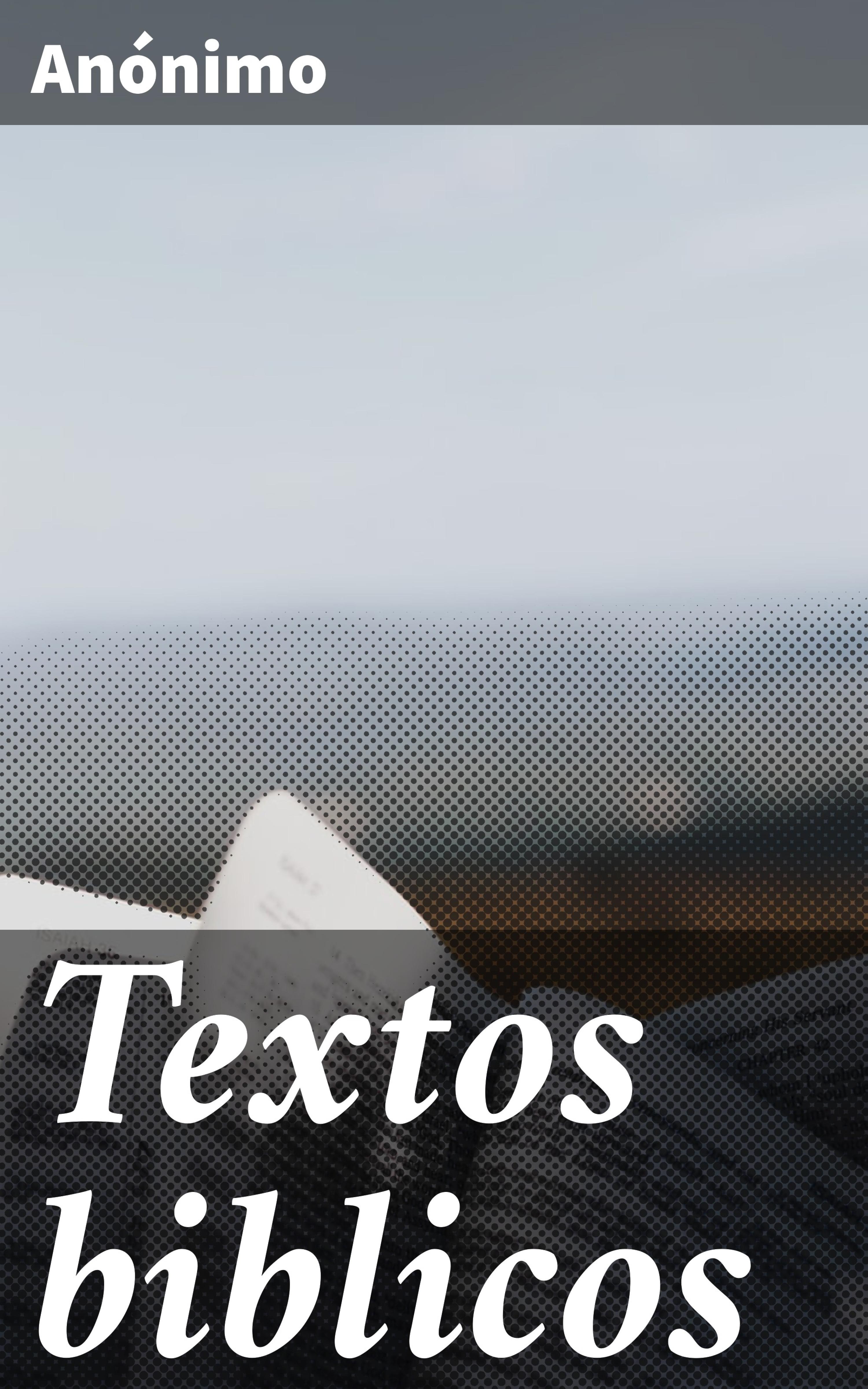 Обложка книги «Textos biblicos»