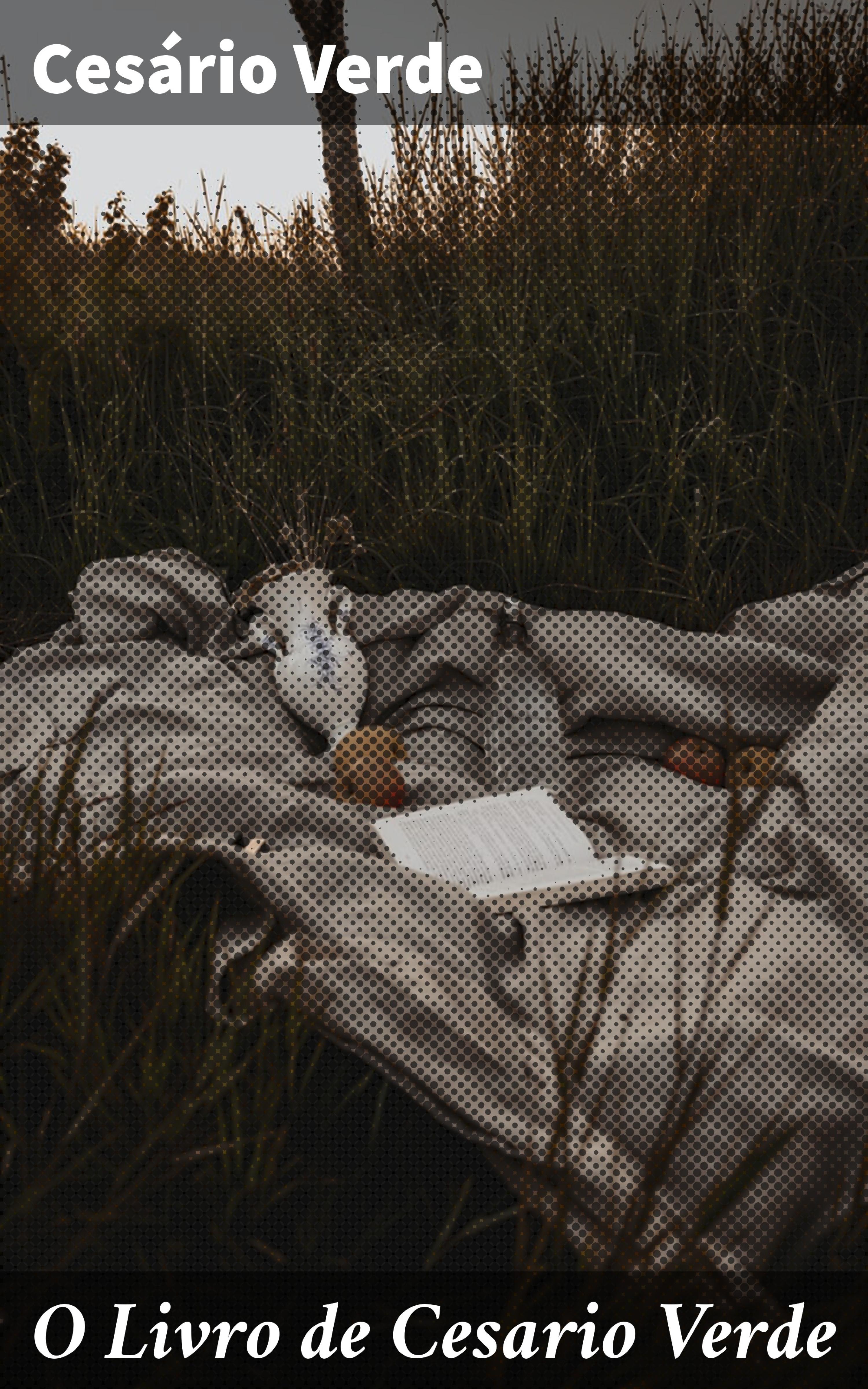 Обложка книги «O Livro de Cesario Verde»