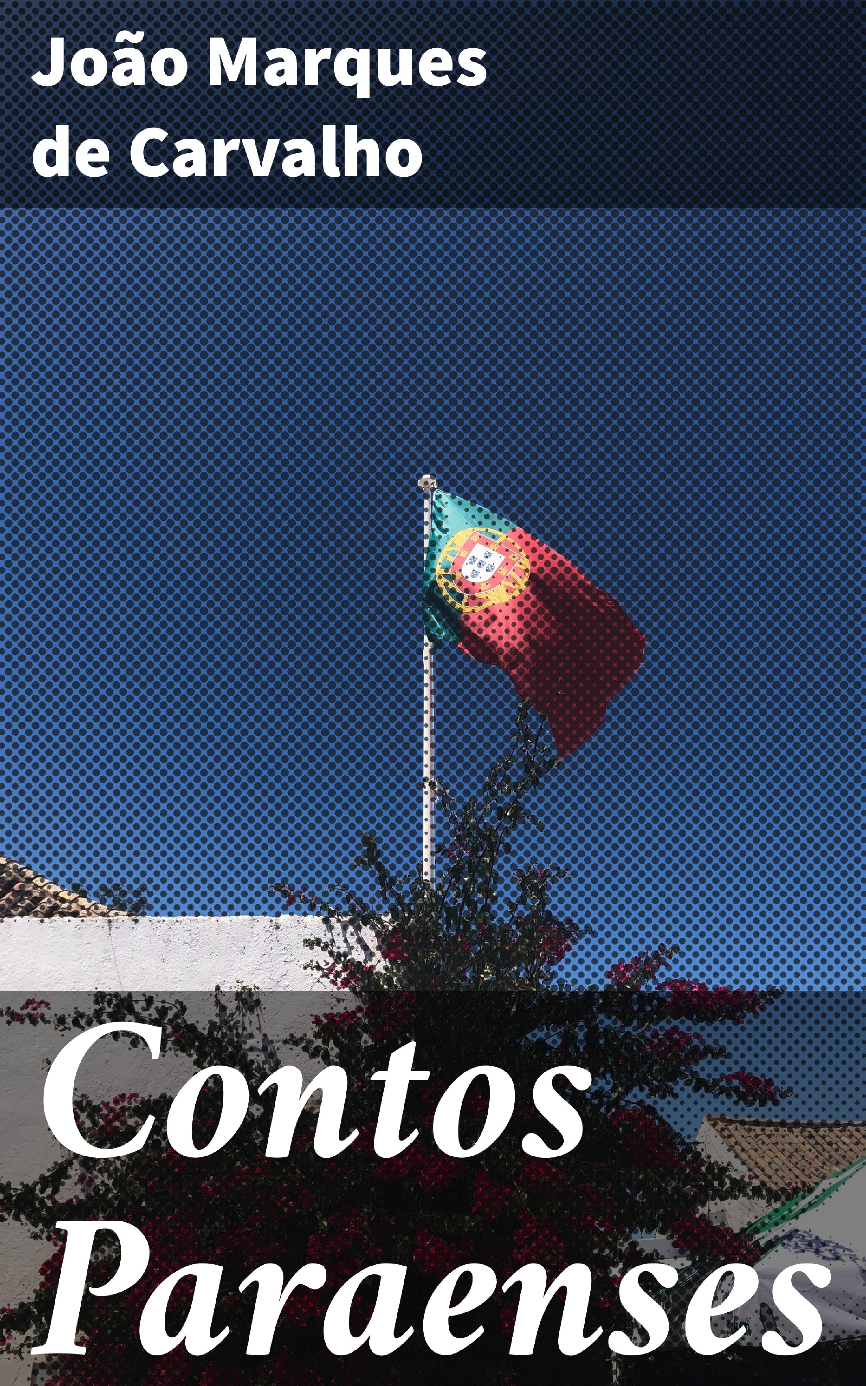 Обложка книги «Contos Paraenses»