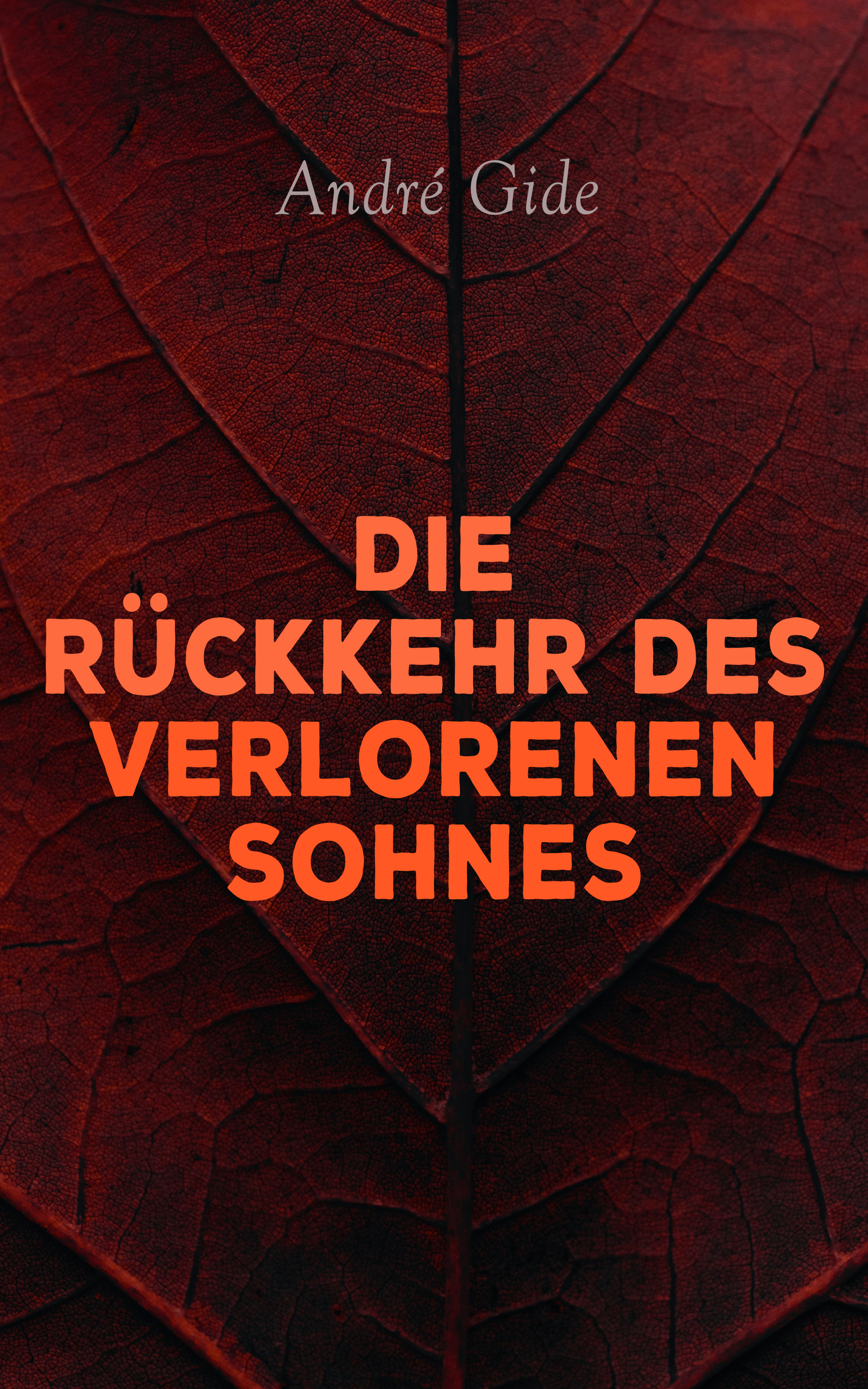 Обложка книги «Die Rückkehr des verlorenen Sohnes»