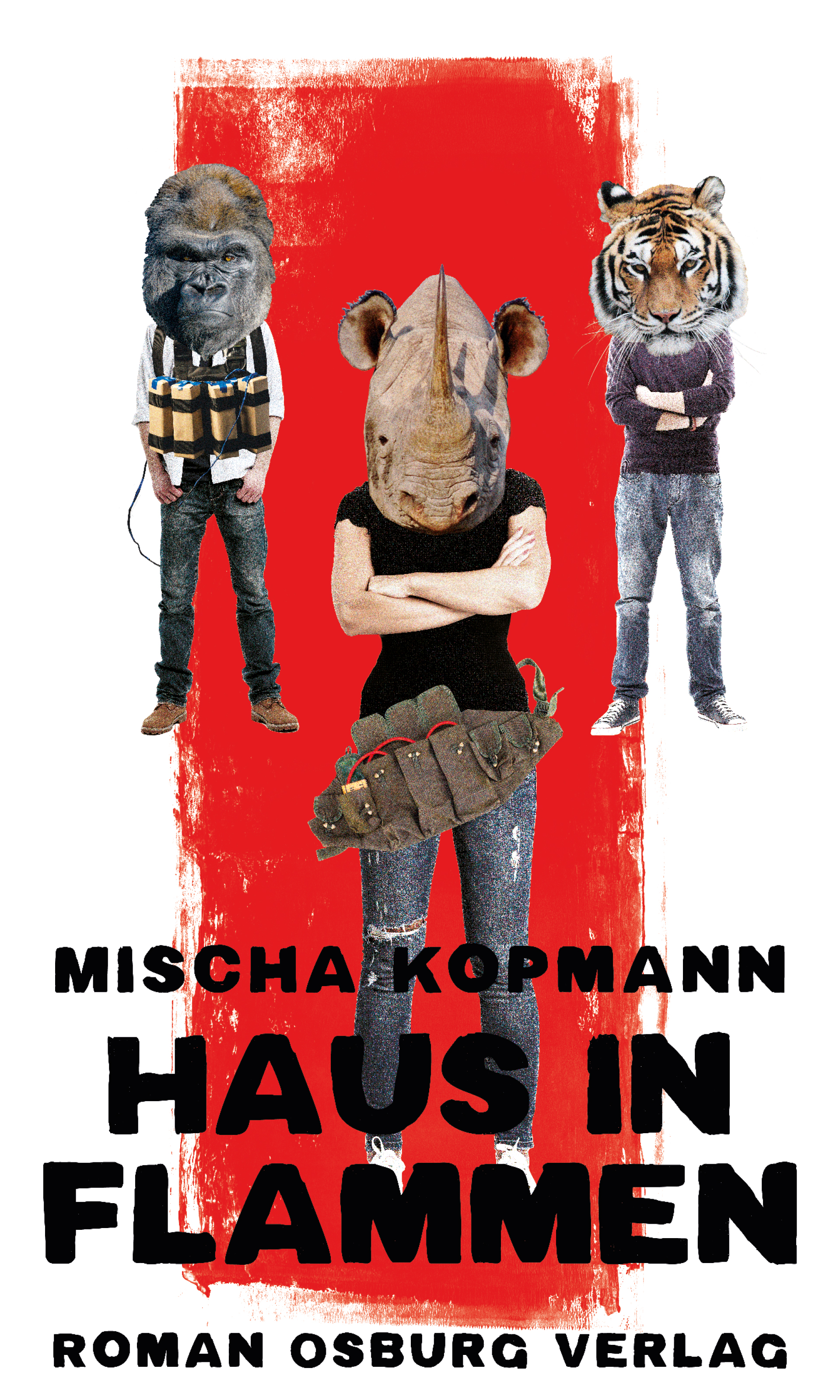 Обложка книги «Haus in Flammen»