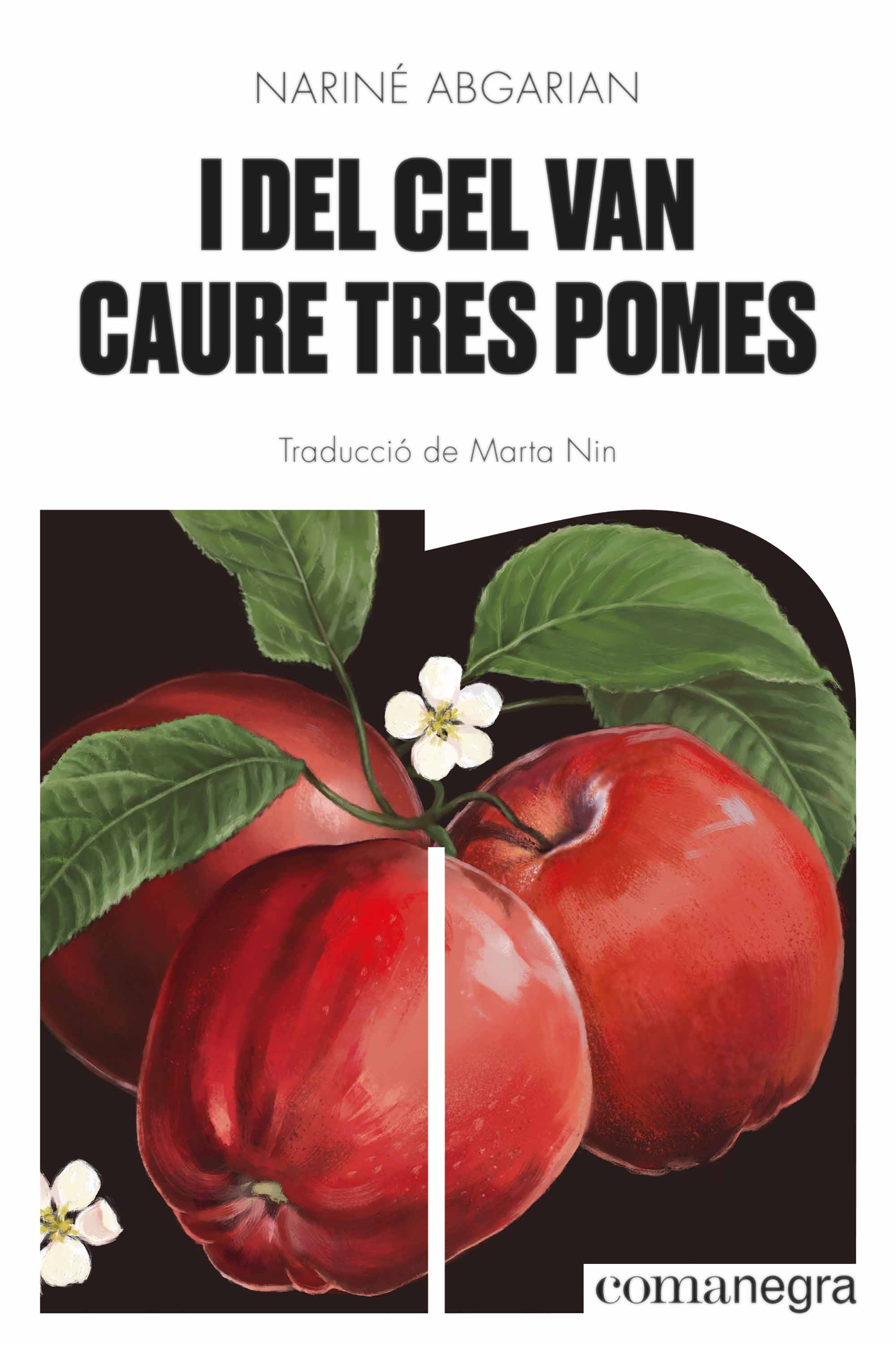 Обложка книги «I del cel van caure tres pomes»