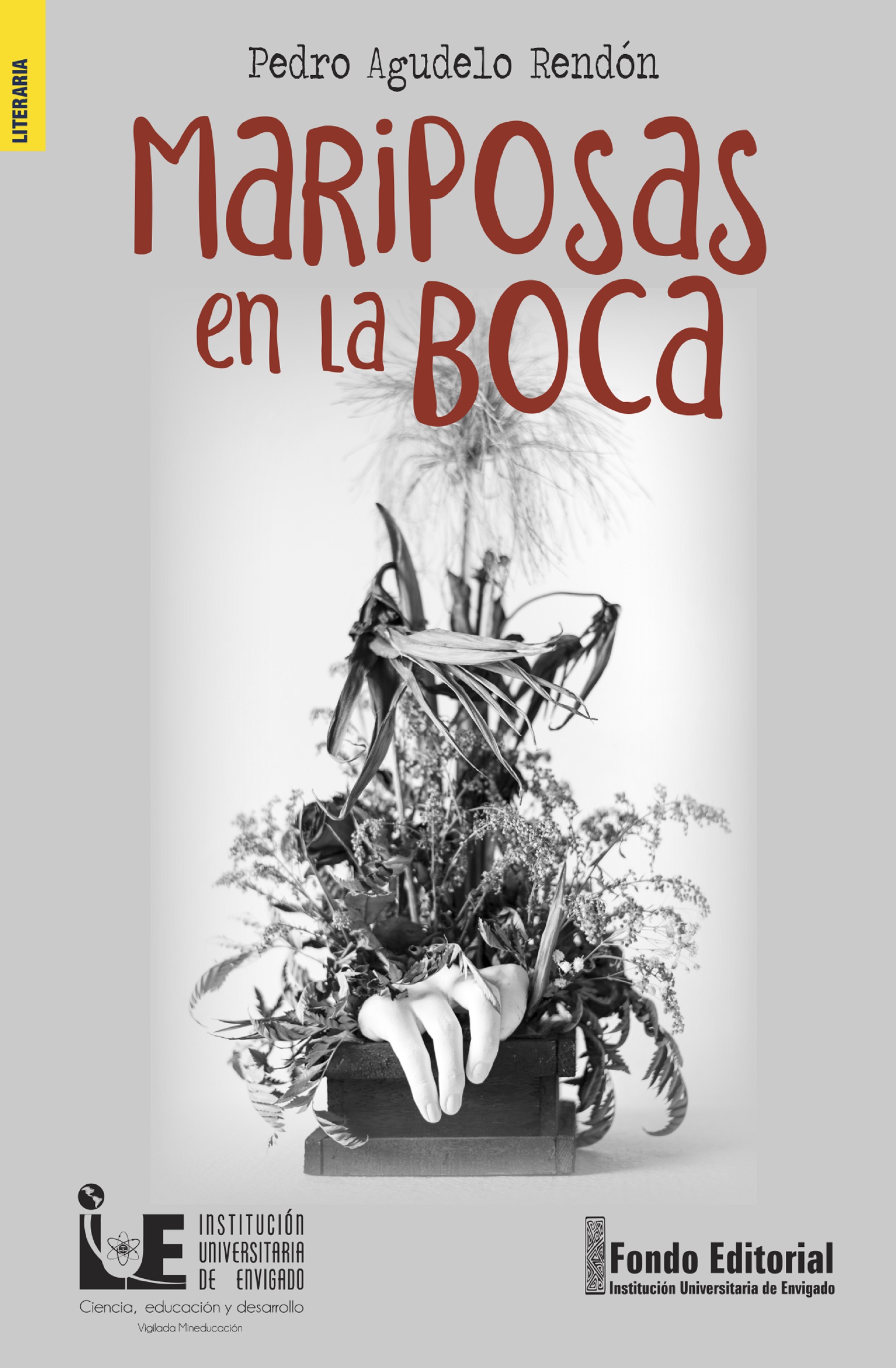 Обложка книги «Mariposas en la boca»