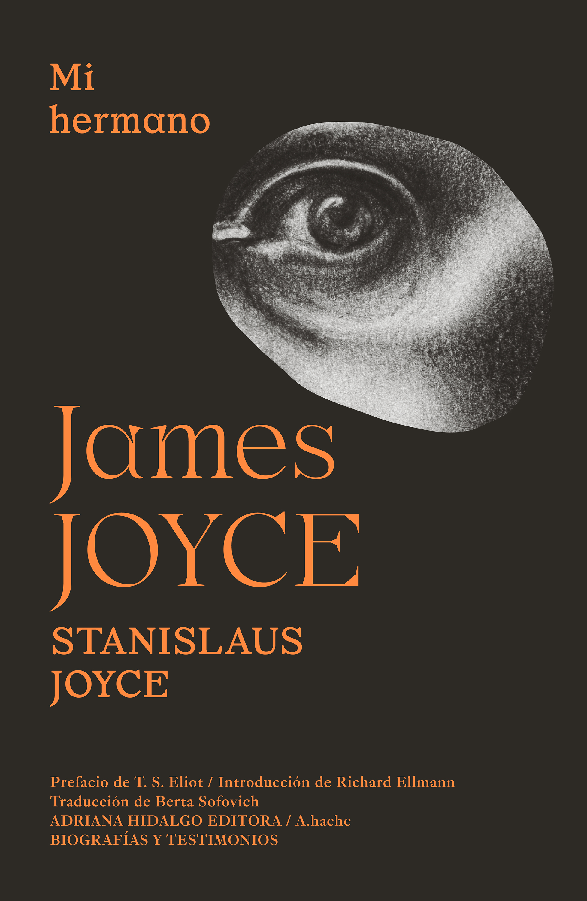 Обложка книги «Mi hermano James Joyce»